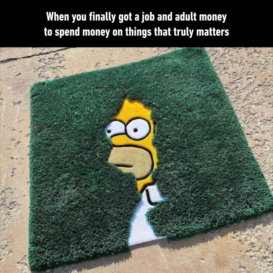 9GAGのインスタグラム：「shut up and take my 💵 by @general.rugs  - #adulthood #rugs #homersimpson #memes #9gag」
