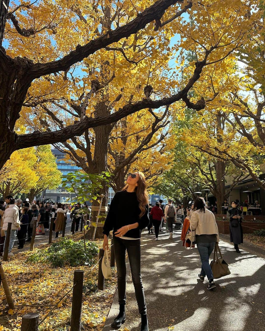 道端アンジェリカのインスタグラム：「銀杏並木が綺麗だった🍂✨」