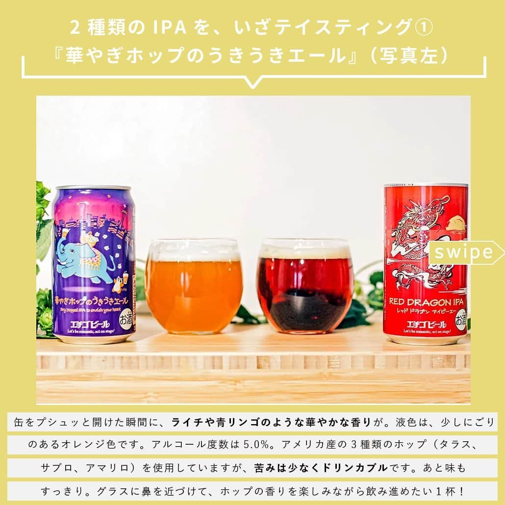 【ビール女子 -Beergirl.net-】さんのインスタグラム写真 - (【ビール女子 -Beergirl.net-】Instagram)「10・12月に連続リリースされたエチゴビールの新作2種類はもう飲まれましたか？  「クラフトビールを初めて飲む方々にも気軽に手にとり楽しんでいただきたい」という思いでつくられ発売された、年末年始にぴったりな2種類のIPAの魅力を紹介します！  もっと知りたい！という方に向けて、詳細は「ビール女子」HPにて紹介しています！アカウントプロフィールのURL（ビール女子HP）より「エチゴビール」と検索してご覧ください🍺  #エチゴビール #華やぎホップのうきうきエール #reddragonipa #ipa #ビール大好き #ビール #beer #クラフトビール #craftbeer #年末年始ビール #ビール女子 #ビアスタグラム #ビール好きな人と繋がりたい #beergirl #ビール党 #ビールで明日を幸せに #ビール好きと繋がりたい #ビールで乾杯 #ビールで笑顔に」12月2日 17時00分 - beergirl_net