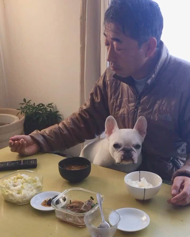 ちえぶぅたのインスタグラム：「意地でもどかない。」
