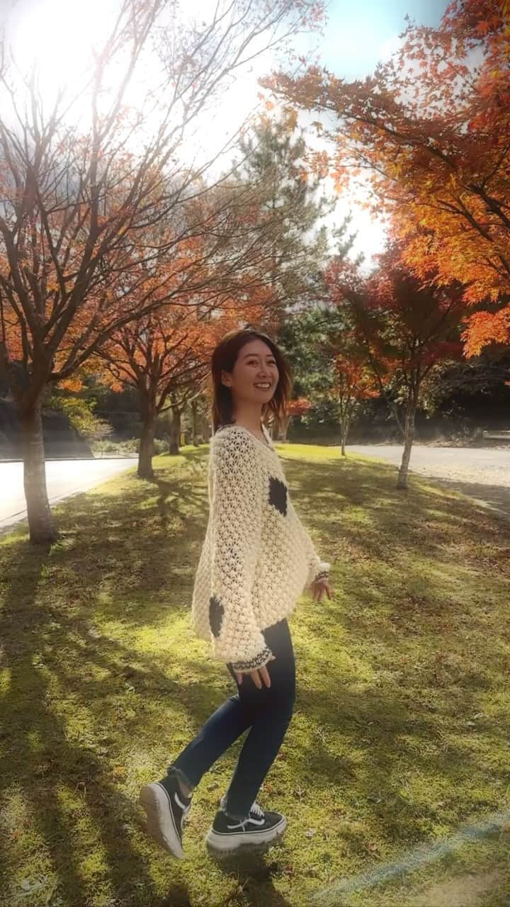 馬場奈々瀬のインスタグラム：「2023紅葉🍁 千葉県の富津、もみじロードで撮影。 iPhone14Proで撮影📷  #ドローン #マイクロドローン #drone #fpv #movie #DJI #空撮 #動画 #映像 #japan #日本 #iPhone14Pro #紅葉 #紅葉 #千葉県 #富津市 #もみじロード #japan #momiji #kouyou」