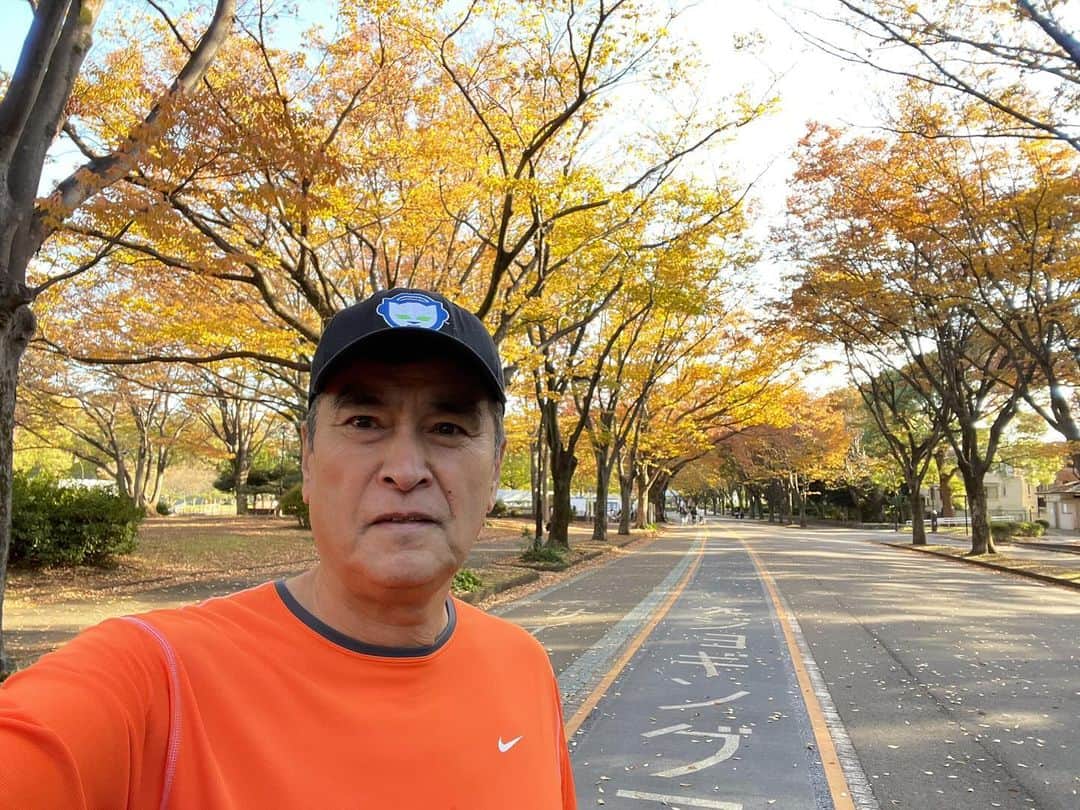 石原良純のインスタグラム：「寒い、寒くない。寒い、寒くない。冷気にに包まれる冬のジョギングの最初の1キロは、身体が暖まるまで我慢我慢。 今年の紅葉は長持ちしているかも。公園の木々も通りのイチョウ並木も、未だ見応えあり。 日暮も早いし、木枯らしに吹かれる前にとっとと帰りましょう。」