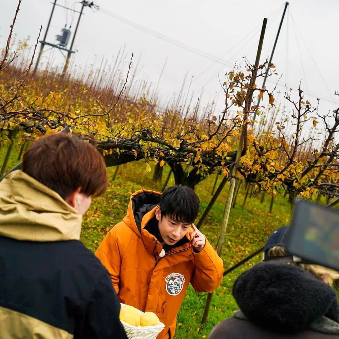 中丸雄一さんのインスタグラム写真 - (中丸雄一Instagram)「新潟県の加茂市から中継。洋梨のル レクチエを発掘した。果物好きだけど、まだまだ知らないやつがあると実感。信じられないくらい美味しかった。」12月2日 15時36分 - y_nakamaru_94