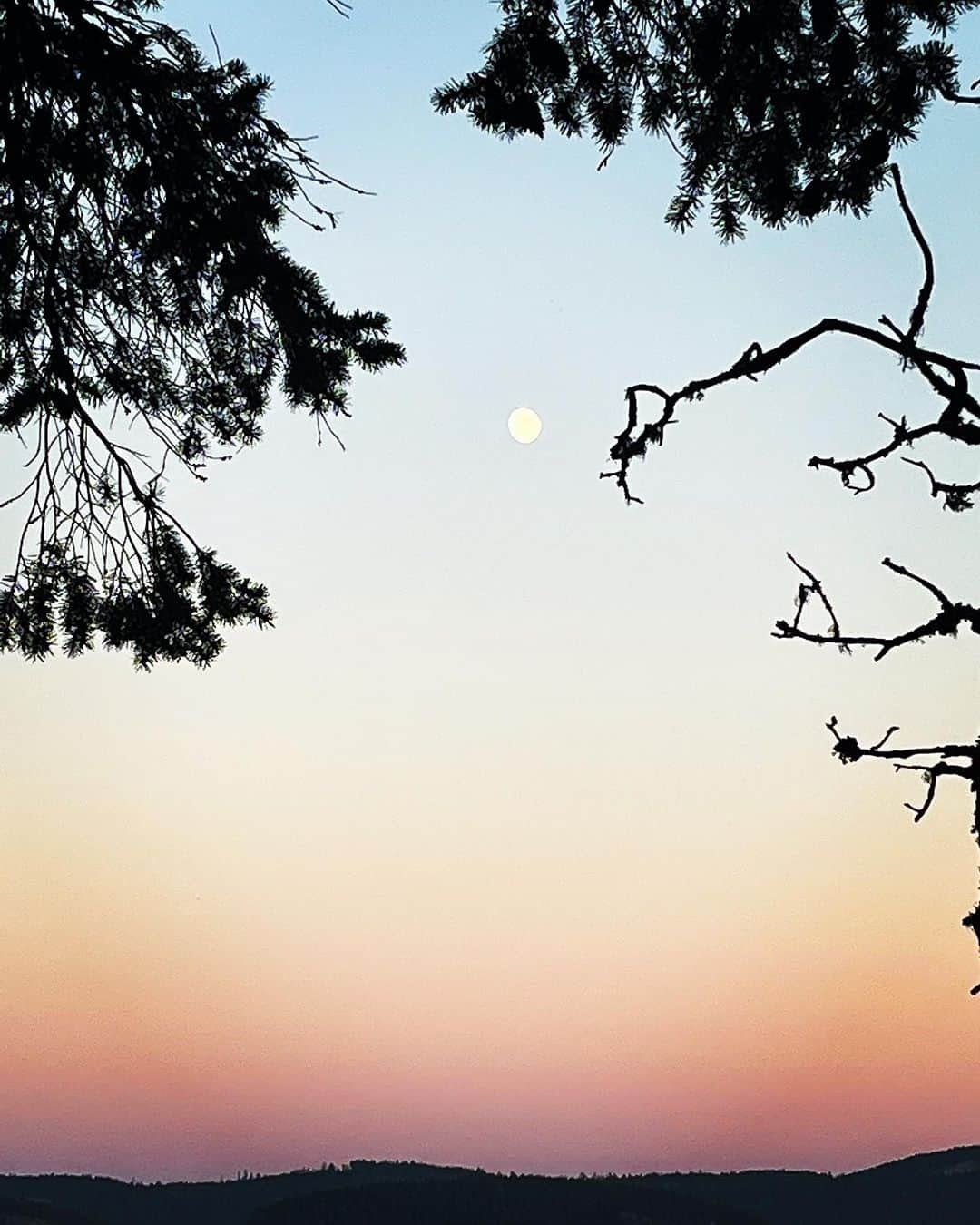 サラ・ウェイン・キャリーズのインスタグラム：「caught the moonrise earlier this week.  sending y’all peace and love.」