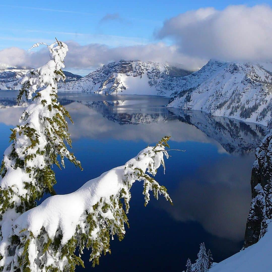 アメリカ内務省さんのインスタグラム写真 - (アメリカ内務省Instagram)「Crater Lake inspires awe. Fed by rain and snow, it’s the deepest lake in the United States and one of the cleanest and clearest lakes in the world.    There is no better time to witness @craterlakenps’ beauty than in the winter. With an average of more than 500 inches of snow a year, Crater Lake offers incredible opportunities for winter recreation.    Photo by NPS   #craterlake #publiclands #oregon    Alt Text: Snow covered trees and cliffs that slope down to a bright blue lake.」12月3日 1時16分 - usinterior