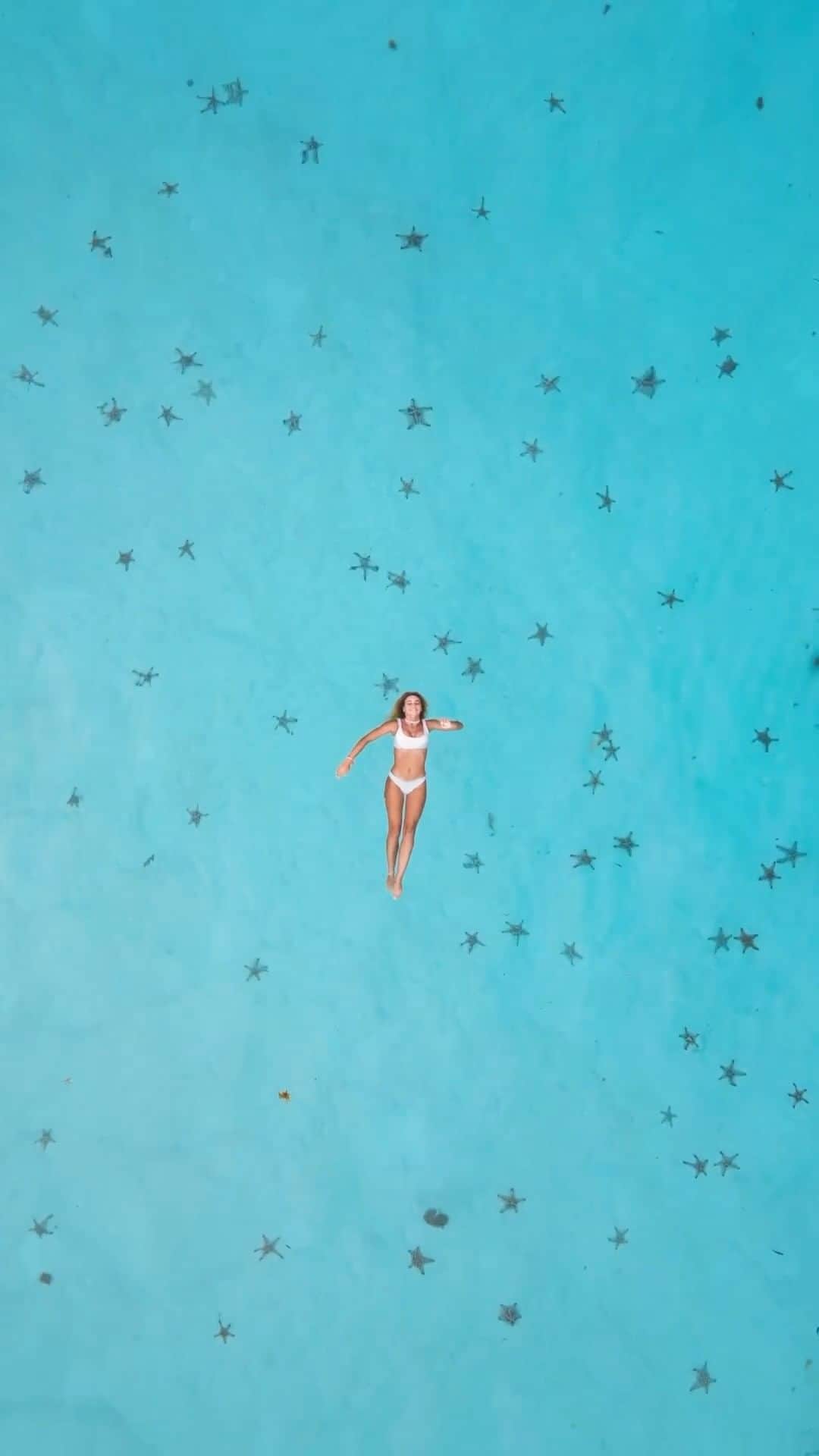 PicLab™ Sayingsのインスタグラム：「A sea of stars in the Philippines. 🌟 🌊 Did you know starfish can live up to 35 years and that there are over 2,000 species of starfish on our planet?! One of our favorite things to do on a tropical vacation is to hunt for starfish. Tag someone you want to visit this part of the world with.  🎥 @thiramoelants 📍Balabac, Palawan」