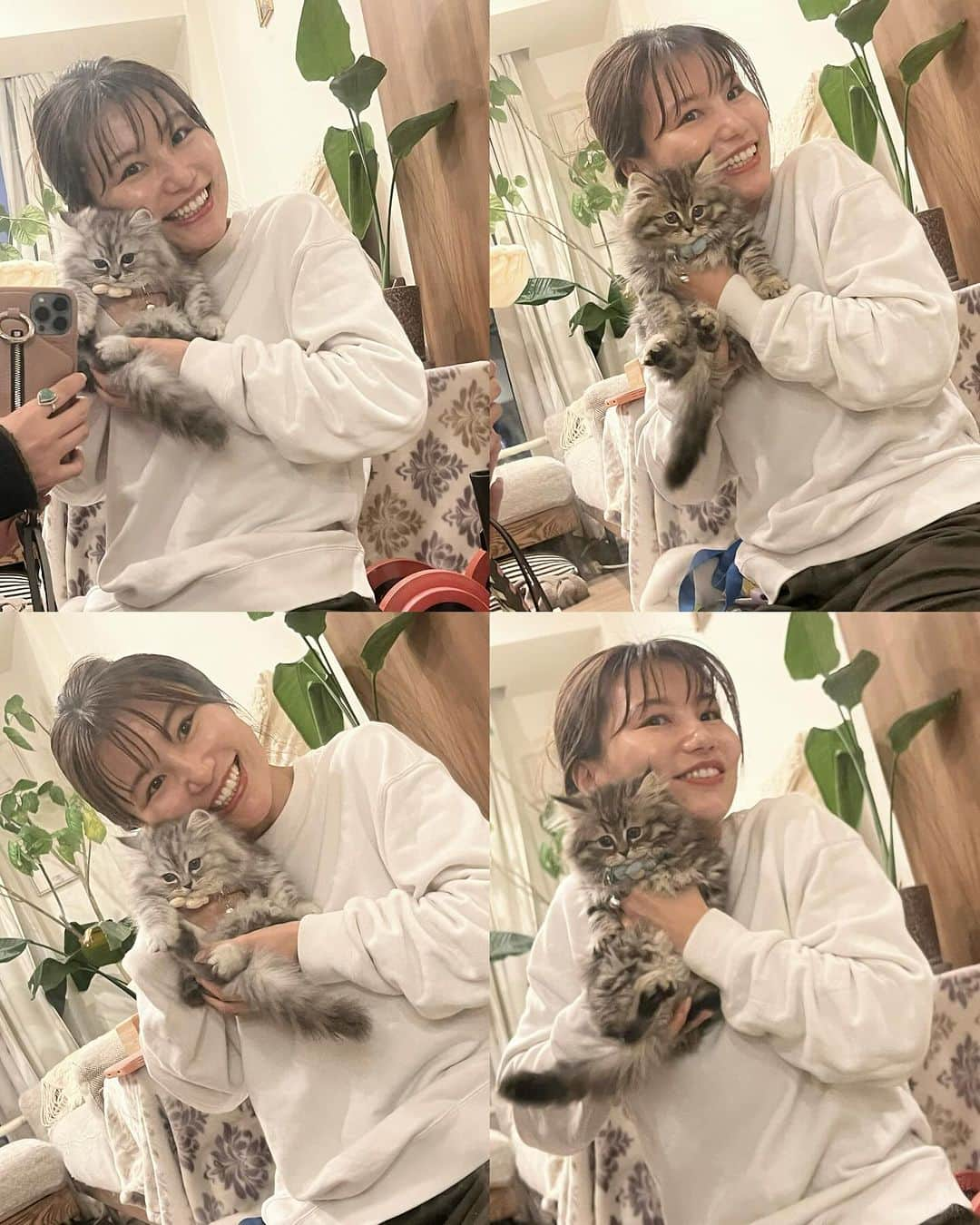 生駒幸恵さんのインスタグラム写真 - (生駒幸恵Instagram)「まなみんちに子猫が来た🐱 かわいい...🥹  たぶん初めてくらいに猫を抱っこした笑 ぎこちなすぎて笑われたよ𐤔  みんとちゃんまなみんまた会いにいくねえ♡ @nailroom__mint @manashika」12月2日 17時57分 - sachi_918