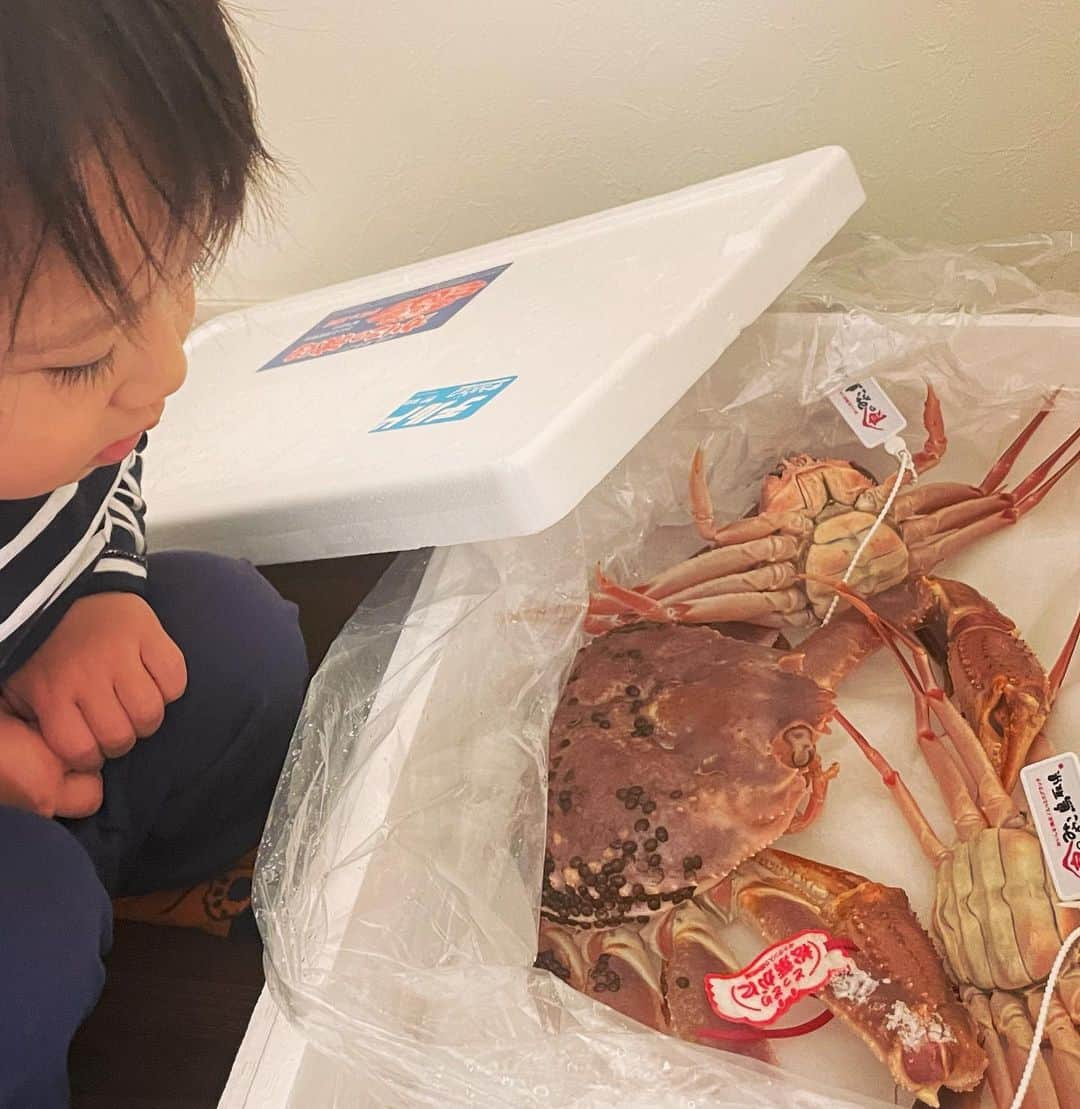 森本さやかさんのインスタグラム写真 - (森本さやかInstagram)「新鮮なカニ〜🦀  ちょっと怖いけど気になる蟹さん(⸝⸝ᵒ̴̶̷᷄௰ᵒ̴̶̷᷅⸝⸝)·̩͙˚˙꒰ঌ🦀໒꒱‪‪..·̩͙ ﾟ   #松葉蟹  #カニ🦀」12月2日 18時33分 - sayakamorimoto1011