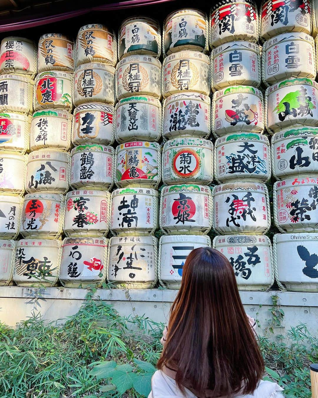 松中みなみさんのインスタグラム写真 - (松中みなみInstagram)「#明治神宮 でパワーチャージ⛩️✨  空気が澄んでた🩵」12月2日 18時41分 - minami_matsunaka