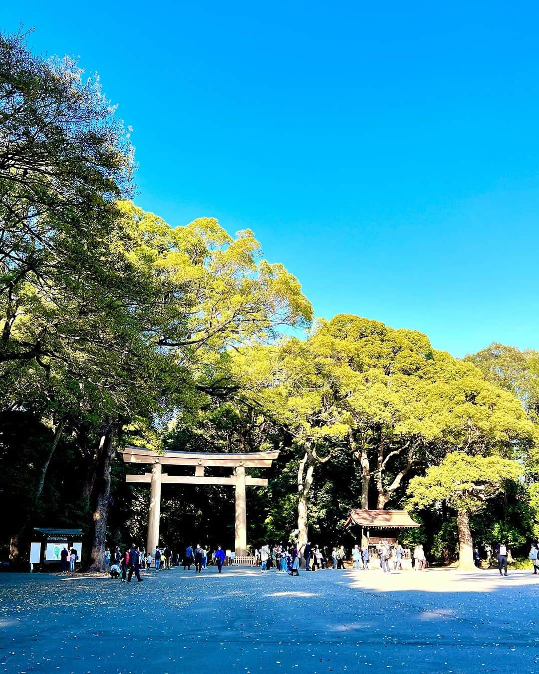 松中みなみさんのインスタグラム写真 - (松中みなみInstagram)「#明治神宮 でパワーチャージ⛩️✨  空気が澄んでた🩵」12月2日 18時41分 - minami_matsunaka