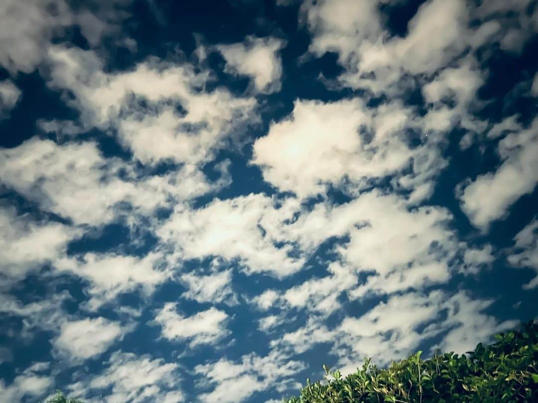 椎名直子のインスタグラム：「☁️☁️☁️！」