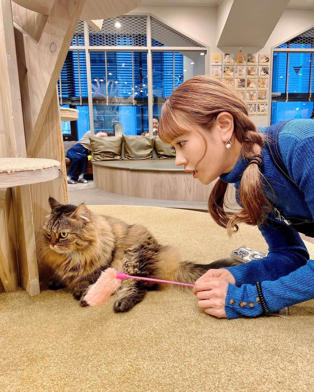 日向カンナさんのインスタグラム写真 - (日向カンナInstagram)「ちょっとお仕事の合間に、猫カフェMOCHAで猫ちゃんと一息つきに行ってきましたよ〜😽💗 犬も猫もだいすきな私には、たまらない空間♡♡♡ が、やはりうちのめぐのようには来てくれませんね🤭そこを何とか振り向かしたい乙女心。笑  飲み放題のコーンポタージュをゆっくり飲んでから（3杯は飲みました🌽笑）、猫ちゃんのオヤツを購入し、再挑戦🫶🏻 みんな、オヤツには素直ですね〜💗 そういうところも可愛いっ🥰ふふ。 休日だったので、お客様もたくさん♩お客様も猫ちゃんのように、ドリンクや本を読みながら、一緒にま〜ったりできる空間でした🌼  猫ちゃんたちが幸せに住める場所がこうやって沢山できたらいいなぁ〜！ そして、私も気付けば、猫になってましたよ😽笑 @mocha.koendori   #猫カフェmocha #猫カフェ#渋谷カフェ #渋谷猫カフェ #pr #猫好き #保護猫 #動物好き #インフルエンサー #笑顔が一番 #笑顔が人を幸せにする #癒しの時間 #休日の過ごし方」12月2日 18時50分 - kanna_hinata