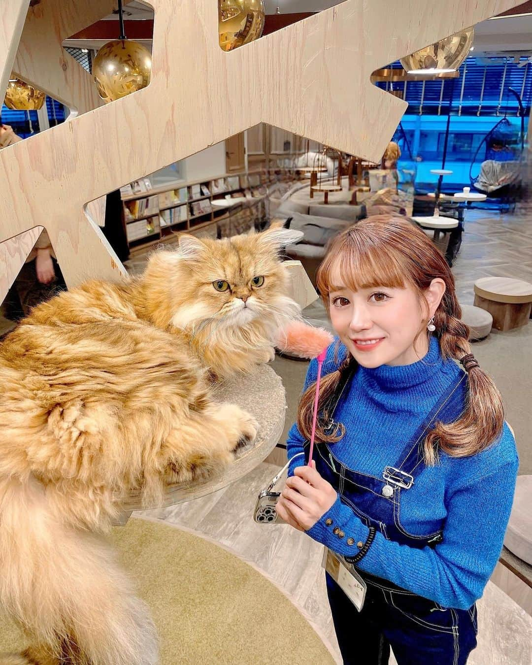 日向カンナのインスタグラム：「ちょっとお仕事の合間に、猫カフェMOCHAで猫ちゃんと一息つきに行ってきましたよ〜😽💗 犬も猫もだいすきな私には、たまらない空間♡♡♡ が、やはりうちのめぐのようには来てくれませんね🤭そこを何とか振り向かしたい乙女心。笑  飲み放題のコーンポタージュをゆっくり飲んでから（3杯は飲みました🌽笑）、猫ちゃんのオヤツを購入し、再挑戦🫶🏻 みんな、オヤツには素直ですね〜💗 そういうところも可愛いっ🥰ふふ。 休日だったので、お客様もたくさん♩お客様も猫ちゃんのように、ドリンクや本を読みながら、一緒にま〜ったりできる空間でした🌼  猫ちゃんたちが幸せに住める場所がこうやって沢山できたらいいなぁ〜！ そして、私も気付けば、猫になってましたよ😽笑 @mocha.koendori   #猫カフェmocha #猫カフェ#渋谷カフェ #渋谷猫カフェ #pr #猫好き #保護猫 #動物好き #インフルエンサー #笑顔が一番 #笑顔が人を幸せにする #癒しの時間 #休日の過ごし方」