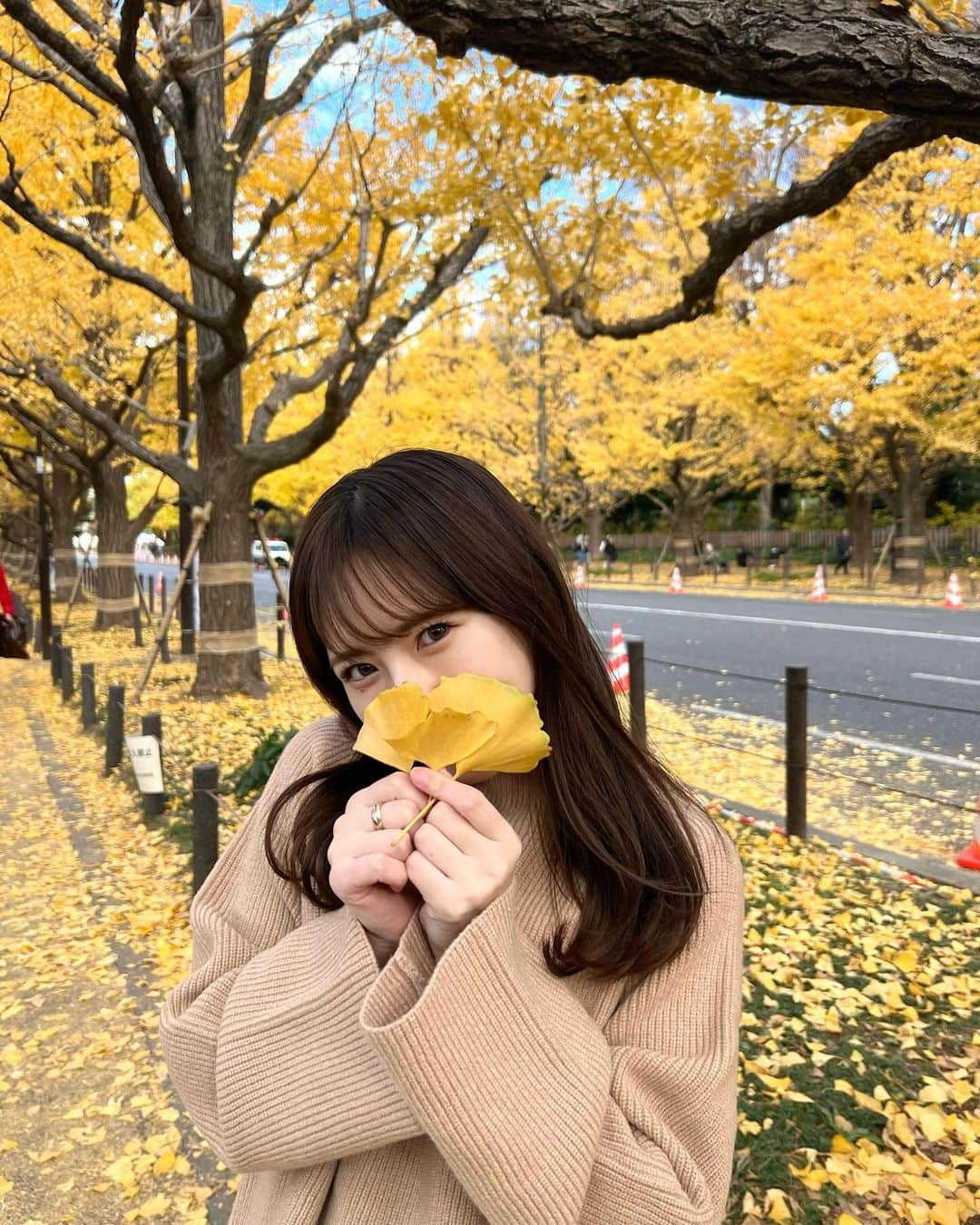 伊藤彩華さんのインスタグラム写真 - (伊藤彩華Instagram)「🍁  質問をいただいたセットアップは @rirandture_official だよ🤍  #スターダスト #伊藤彩華 #銀杏並木 #秋コーデ #キャメルコーデ #fashion #ootd #ブルベ」12月2日 18時54分 - ayaka_ito_official