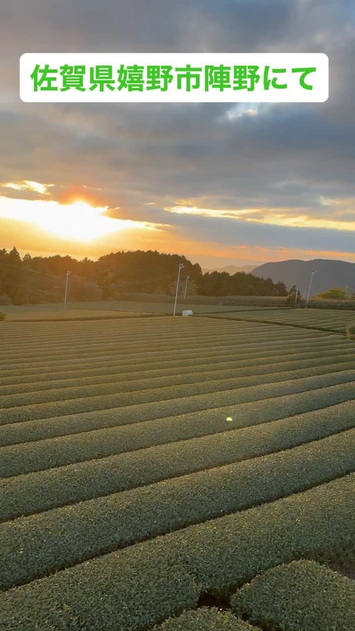 木山裕策のインスタグラム：「茶畑360°パノラマビュー‼️  #嬉野市 #陣野 #嬉野茶」