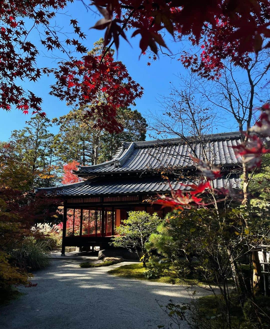 田尻夏樹（なつきんぐ）さんのインスタグラム写真 - (田尻夏樹（なつきんぐ）Instagram)「紅葉がとっても綺麗だった🍁」12月2日 19時09分 - tajiri_natsuki