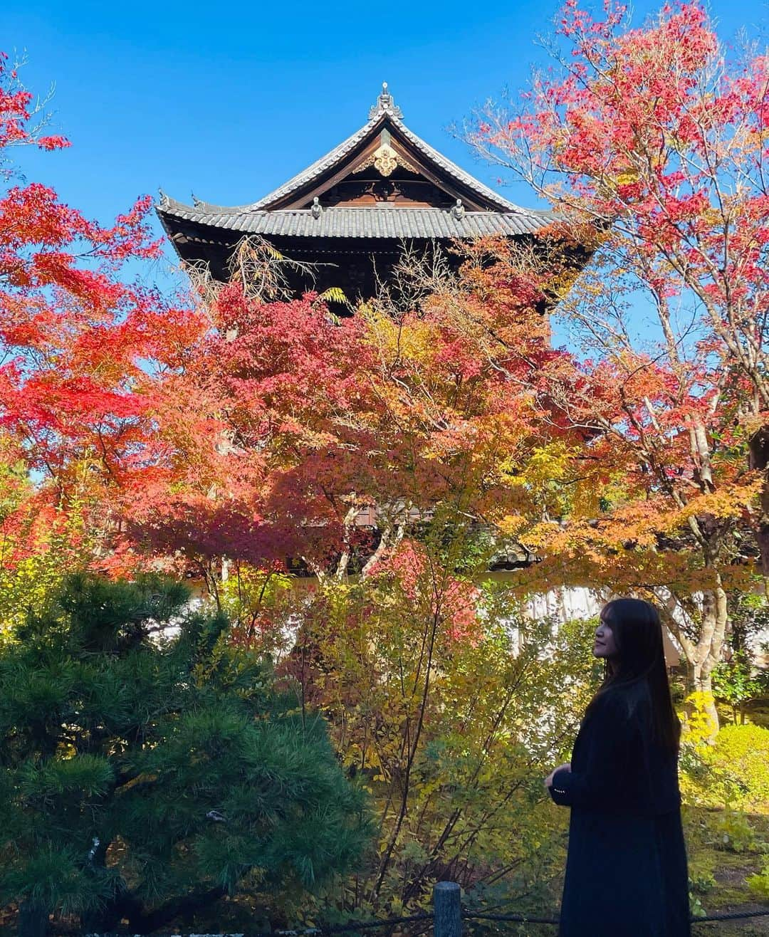 田尻夏樹（なつきんぐ）さんのインスタグラム写真 - (田尻夏樹（なつきんぐ）Instagram)「紅葉がとっても綺麗だった🍁」12月2日 19時09分 - tajiri_natsuki