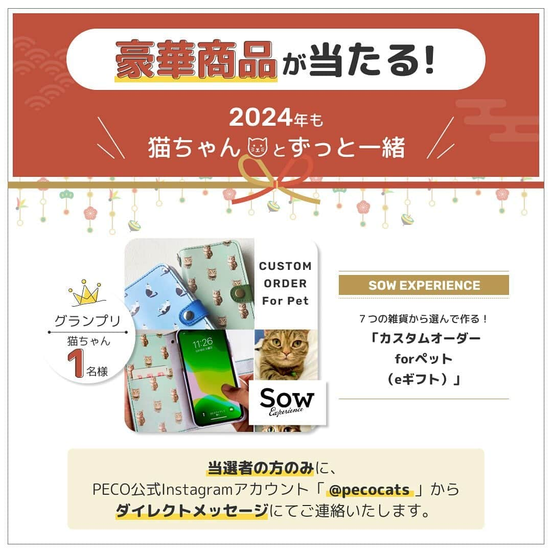 金太さんのインスタグラム写真 - (金太Instagram)「ペットラインさんで【2024年「新年の抱負」大募集！】  ＼キャンペーン開催中ですよ／  参加方法 1.@petline_cats をフォロー☝️ 2.ペットラインの【2024年「新年の抱負」大募集！】の投稿に、 ねこちゃんと叶えたい新年の抱負をコメント！ 3.これでOK   応募期間：１２／１（金）〜３１（日）  お楽しみ豪華商品はこちら🎍 グランプリ ◾️SOW EXPERIENCE「カスタムオーダー for ペット（eギフト）」 (お気に入りの猫ちゃんの写真を使って、かわいいドット柄のオリジナルアイテムが作れるギフト)　1名様  準グランプリ ◾️FUJIFILIM Prints&Gifts 「フォトカレンダー COYOMI 日めくり万年タイプ」　5名様  ＼もちろん私も新年の抱負をコメントしてきました！／ 是非一緒に参加しましょー！！  @petline_dogs でもわんちゃんと叶えたい新年の抱負を募集しているみたいです！  ［PR：ペットライン株式会社］  ＿＿＿＿＿＿＿＿＿＿＿＿  ＼ねこの金太と蒼太とすず／ ▶︎ @vvviopw ◀︎ 金太（9）スコティッシュ 蒼太（7）ラガマフィン すず（1）みけねこ ＿＿＿＿＿＿＿＿＿＿＿＿  #ねこのいる暮らし　#ねこ　#ペットライン #ペットラインねこ部」12月2日 19時19分 - vvviopw