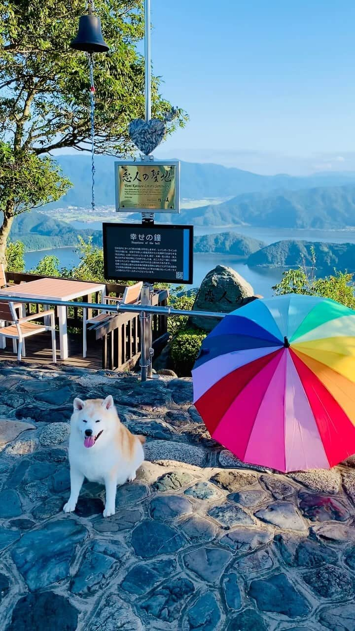 Kazumi-Gakumamaのインスタグラム：「恋人の聖地でもあるレインボーライン山頂公園には、社の前後にふたりで向かい合ってお参りする「和合神社」や「幸せの鐘」といった、縁結びのパワースポットがあります🔔 *  ふたりで一緒に1回鐘を鳴らすとより一層、御神徳にあやかれると言われているそうです⛩️ *  鐘を鳴らす紐に岳のリードをくくり付けて、岳に鳴らして貰おうとしましたが失敗w *  そんな時、めちゃくちゃ可愛い3頭に出会いました🐕🐕🐕 秋田犬のマオウ(魔王)くん♂10歳、柴犬のガオウ(牙王)くん♂13歳、そして紅一点の柴犬ヒメ(姫)ちゃん♀14歳でしたU^ェ^U @sanwanko_hgm  *  皆んなと〜っても穏やかでフレンドリーな良い子❤️ パパさん、ママさんも気さくで話し易く楽しいひと時を過ごす事が出来ました😆 *  マオウくん、秋田犬だけにﾒﾁｬｸﾁｬ身体は大きいですが本当におとなしくて可愛い➰😌 岳は今まで「秋田犬ですか？」と20回近く聞かれた事がありましたが、本物の秋田犬と比べたら一目瞭然なのにね~😂 *  最後に… この山頂公園には、あちこちに「恋」にちなんだハートモチーフが隠れているので、散策しながら探してみるのも楽しいかも？🫶❤️💝 🐾----*----*----*----🐾 Rainbow Line Summit Park, which is also a sacred place for lovers, has power spots for marriage, such as the Wago Shrine and the Bell of Happiness, where couples pray facing each other before and after the shrine🔔 * It is said that if two people ring the bell together, they will be even more blessed with divine virtue⛩️ * I tied Gaku's leash to the string that rings the bell and tried to get Gaku to ring it, but I failed😅 * At that time, I met three super cute animals🐕🐕🐕 Maou, an Akita dog, was 10 years old, Gaou, a Shiba dog, was 13 years old, and Hime, the only girl, was 14 years old.U^ェ^U @sanwanko_hgm * He is a calm and friendly kid who is very nice to everyone ❤️ Mom and dad were friendly and easy to talk to, and we had a great time😆 * Maou-kun is big for an Akita dog, but he is really gentle and cute😌 I've been asked about 20 times if Gaku is an Akita Inu, but it's obvious when you compare him to a real Akita 😂 * lastly… Heart motifs related to love are hidden here and there in this mountaintop park, so it might be fun to look for them while walking around. 🫶❤️💝 🐾----*----*----*----🐾 #福井県観光連盟 #若狭三方五湖観光協会 #若狭湾観光連盟 #福井県 #福井 #若狭 #レインボーライン #山頂公園 #天空のテラス #幸せの鐘 #和合神社  #犬旅 #柴犬岳の #20231202」