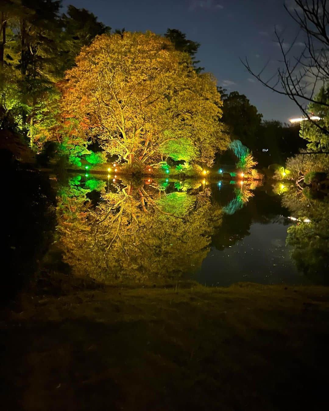 須田理夏子さんのインスタグラム写真 - (須田理夏子Instagram)「今日、撮影会帰りに家族で 念願の新宿御苑の紅葉ライトアップ見てきた🍁  りかが行きたいって言うと連れて行ってくれる お父さんには感謝😊  新宿御苑の紅葉ライトアップは明日までだよー！ 当日券だと長蛇の列並んでたので もし行く方は事前にチケット購入した方がいいかも❣️  次は、イルミネーションだなぁ🎄.*  #ネイキッドインク #nakedinc #新宿御苑  #ライトアップ  #ライトアップ紅葉 #おしゃれ #fashion  #無加工  #低身長コーデ  #me #系統バラバラ系女子  #須田理夏子  #乃木坂好きな人と繋がりたい #乃木坂好きな女ヲタさんと繋がりたい #photo  #photography #followｍe  #他撮り  #冬コーデ」12月2日 19時34分 - sudarikako