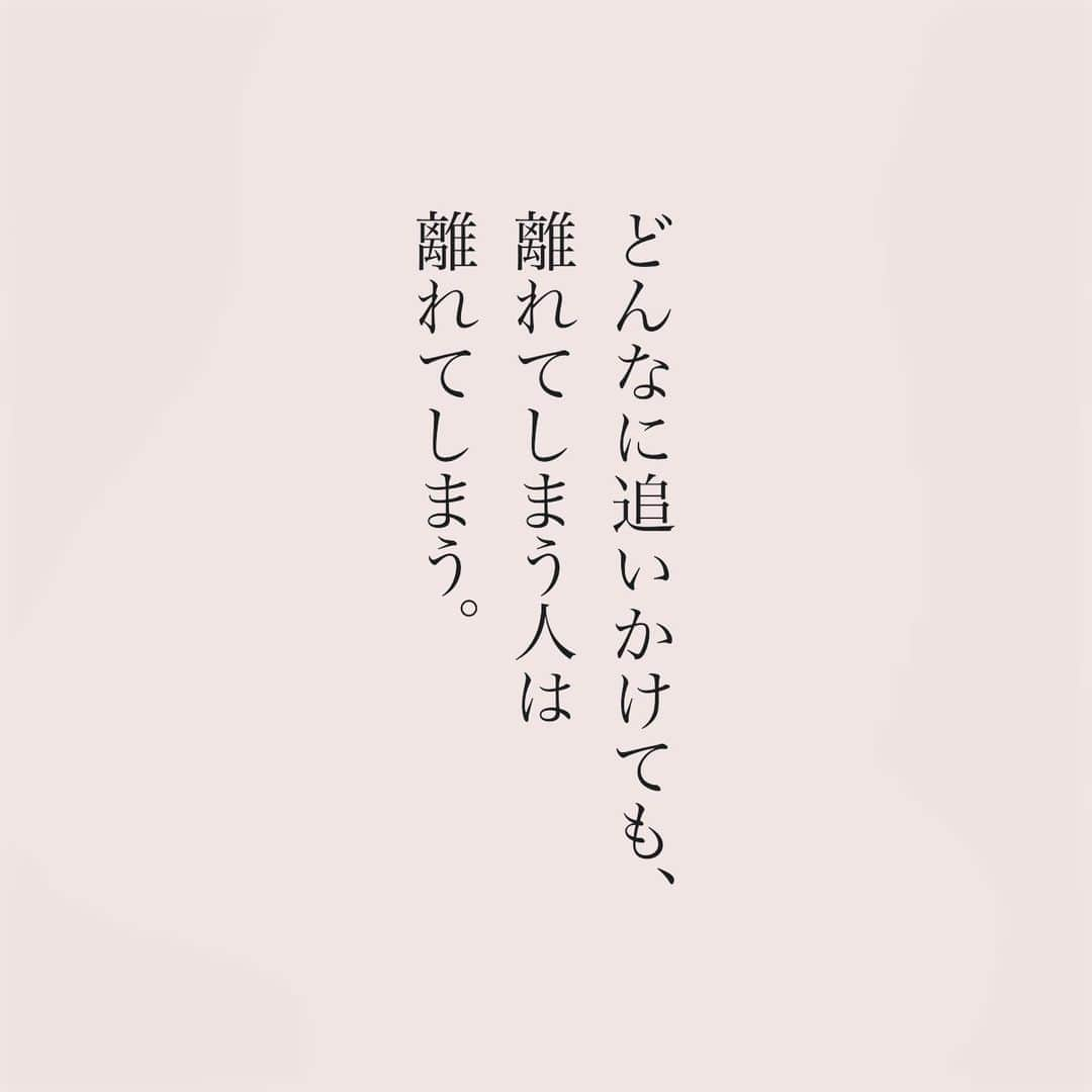 カフカさんのインスタグラム写真 - (カフカInstagram)「.  どんなに好きでも、 別れを選ぶ恋もある。  #言葉#ことば#気持ち #想い#恋愛#恋#恋人 #好き#好きな人 #幸せ#しあわせ #会いたい#日常#日々　 #出会い#出逢い#大切  #運命の人 #女子#エッセイ#カップル　 #言葉の力  #大切な人 #大好き #運命 #失恋 #運命の人」12月2日 19時45分 - kafuka022