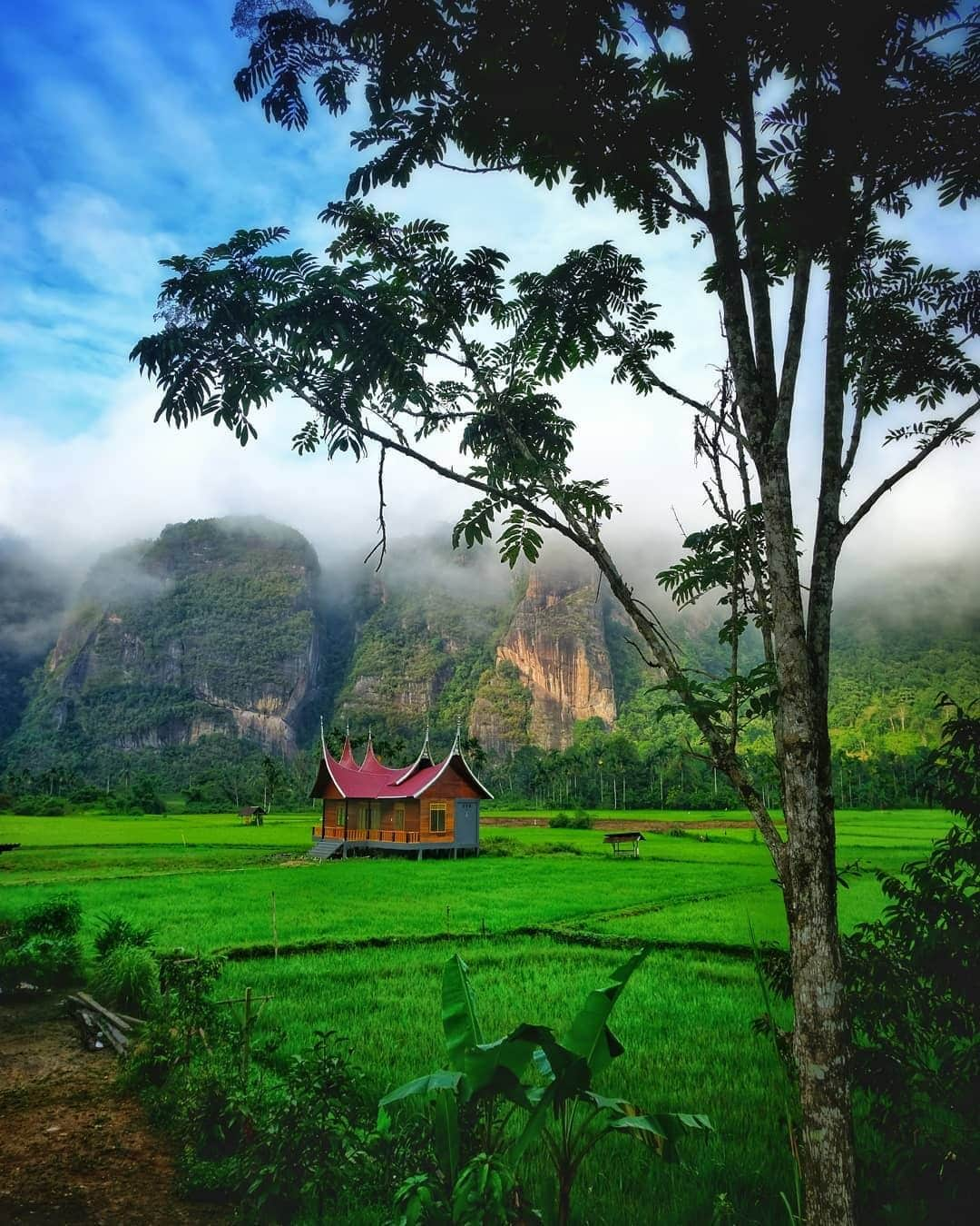 FUJIFILM INDONESIAさんのインスタグラム写真 - (FUJIFILM INDONESIAInstagram)「"Nuansa keindahan alam Sumatera Barat terekam dengan penuh rona oleh @dudinmukhtar"  Memang perlu pengorbanan untuk mengambil gambar bentang alam Sumatera Barat yang memukau ini. Perjalanan panjang sampai tempat ini membutuhkan waktu sekitar +-5 jam dari Padang sehingga harus memulai perjalanan dari jam 2 pagi untuk mengejar momen kabut yang mengambang di lembah tersebut.   Kesempatan ini sangat berharga, dan itulah alasan @dudinmukhtar menggunakan kamera Fujifilm XT20, kamera ini ringkas untuk dibawa ke mana saja dalam mengejar momen keindahan yang mungkin hanya bisa ditemui dalam sekejap.  Jadi, siapa pengguna Fujifilm X-T20 di sini?  Captured by @dudinmukhtar Using Fujifilm X-T20 Lens Fujinon XF35mmF1.4 R  #XT20 #XT20_id #XF35mmF14R #Fujifilm_id #FujifilmIndonesia」12月2日 20時00分 - fujifilm_id