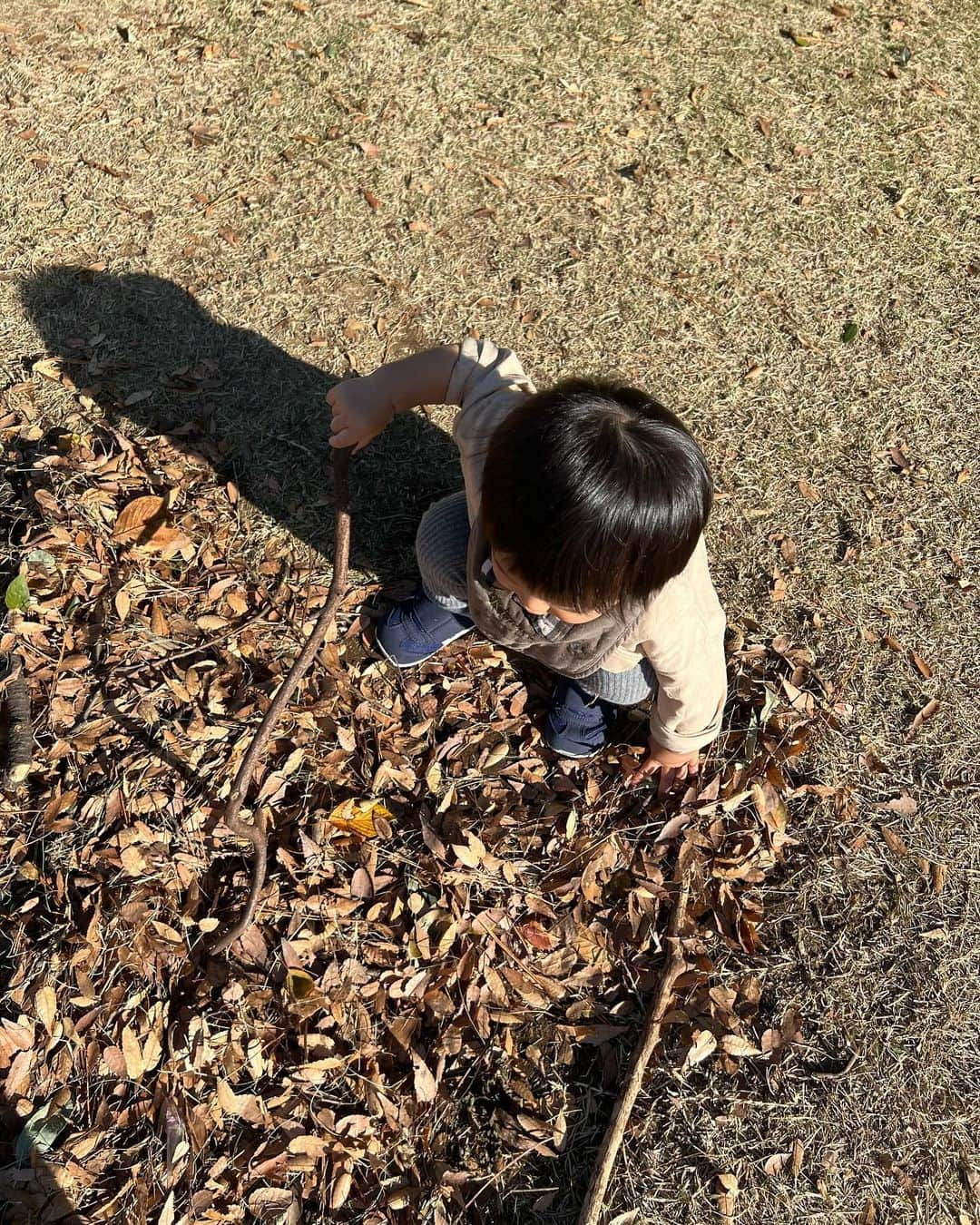 MelonHarunaさんのインスタグラム写真 - (MelonHarunaInstagram)「綺麗な色〜🍂🌳 新宿御苑に来ると、パワーもらえる✨ 👦🏻も楽しそう💛💛 ・  紅葉🍁も観にいこーっと！  #新宿御苑#東京観光 #ママコーデ#30代ママ#30代ママコーデ #ママファッション#きれいめカジュアル #デニムコーデ#ツイードジャケット #sサイズコーデ #tiffany」12月2日 20時03分 - melon_867