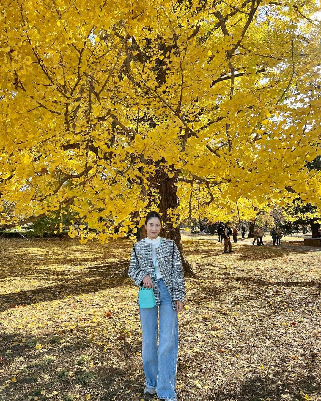 MelonHarunaのインスタグラム：「綺麗な色〜🍂🌳 新宿御苑に来ると、パワーもらえる✨ 👦🏻も楽しそう💛💛 ・  紅葉🍁も観にいこーっと！  #新宿御苑#東京観光 #ママコーデ#30代ママ#30代ママコーデ #ママファッション#きれいめカジュアル #デニムコーデ#ツイードジャケット #sサイズコーデ #tiffany」