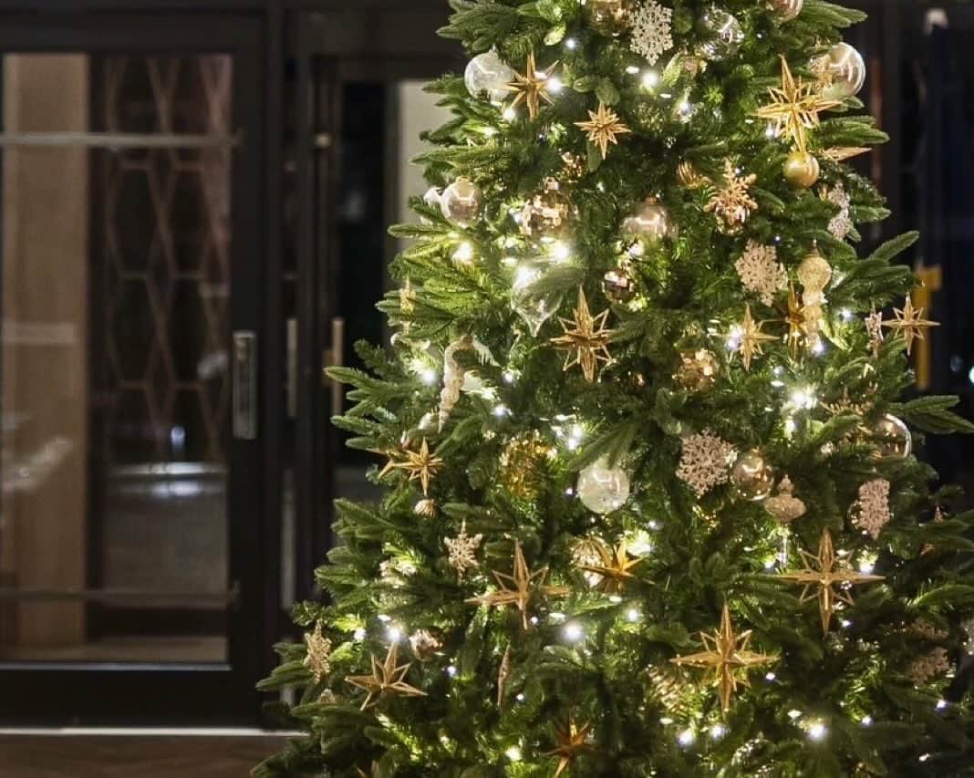 TGOO Officialのインスタグラム：「⁡ - CHRISTMAS DECORATION- ⁡ THE GARDEN ORIENTAL OSAKAの 本館エントランスとブライダルサロン前には クリスマスツリーが設置されました ⁡ ゴールドのデコレーションと 煌めくイルミネーションライトが みなさまをお出迎えいたします ⁡ @thegardenorientalosaka #TGOO #thegardenorientalosaka #ザガーデンオリエンタル大阪 #おもてなしが好きだから #pdsのある人生」