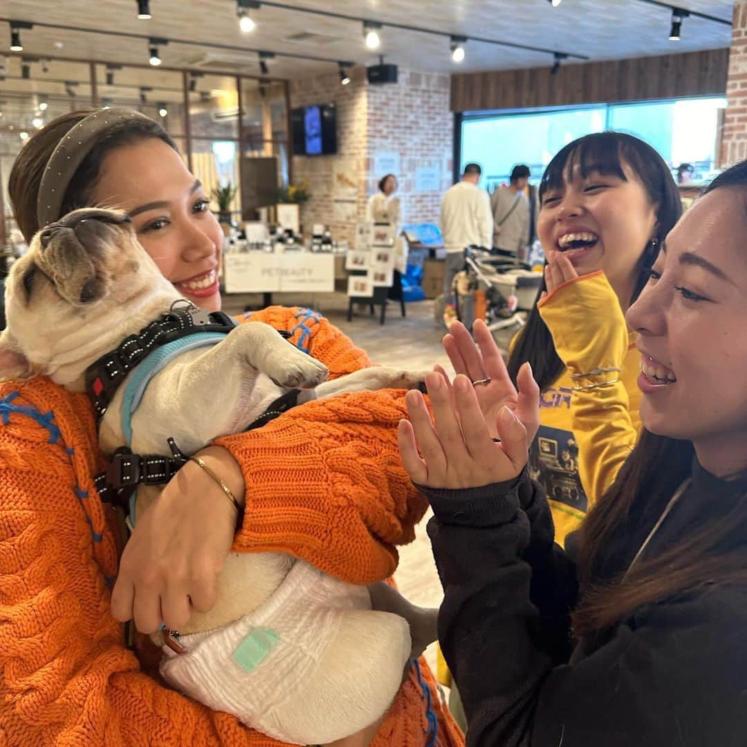 Aya（高本彩）さんのインスタグラム写真 - (Aya（高本彩）Instagram)「@frenchbulldogjamboree 明日もあるよー🐶今日はたくさんのお友達に会えてせんべいもご満悦でした‼️しかもしかもサプライズゲストで @playful_mag の森さんが‼️森さんは思い出がたくさん詰まった洋服（古着）をアップサイクルしてワンちゃん用の洋服を作っている方‼️  先日森さんにダンボール二箱分ぐらいの古着を送ったところ今日サプライズでせんべいの洋服をプレゼントしてくださったのです。 しかも私の特にお気に入りだった洋服で。。 感動‼️森さんの愛犬ちゃんとせんべいが似ていたので写真撮らせてもらいました😂  明日もイベントやっているのでお待ちしてます‼️  日時: 2023.12.2 SAT-12.3 SUN 　　　11:00-17:00 . 場所: WANCOTT @wancott.com.yokohama  . 入場料: 入場券: 1,000円 ✳︎ご家族は1組(大人2名まで1,000円) ✳︎中学生以下は無料 ✳︎経費を除き、保護団体に寄付します ＊WANCOTT会員様は入場無料となります . . . #frenchbulldogjamboree #frebulljamboree #fbj #フレンチブルドッグジャンボリー #フレジャン #フレジャン注意事項」12月2日 20時44分 - aya_dream04