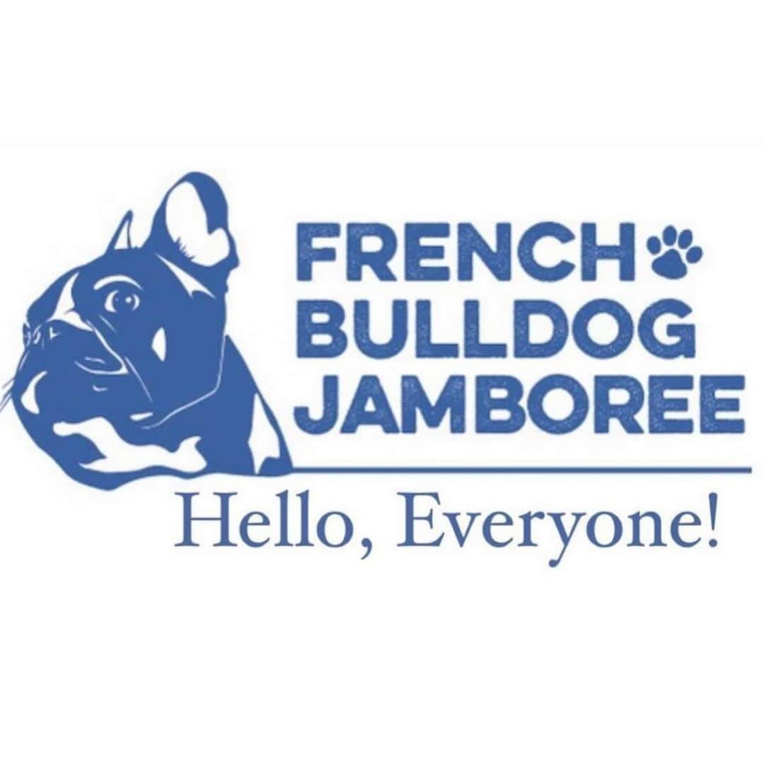 Aya（高本彩）さんのインスタグラム写真 - (Aya（高本彩）Instagram)「@frenchbulldogjamboree 明日もあるよー🐶今日はたくさんのお友達に会えてせんべいもご満悦でした‼️しかもしかもサプライズゲストで @playful_mag の森さんが‼️森さんは思い出がたくさん詰まった洋服（古着）をアップサイクルしてワンちゃん用の洋服を作っている方‼️  先日森さんにダンボール二箱分ぐらいの古着を送ったところ今日サプライズでせんべいの洋服をプレゼントしてくださったのです。 しかも私の特にお気に入りだった洋服で。。 感動‼️森さんの愛犬ちゃんとせんべいが似ていたので写真撮らせてもらいました😂  明日もイベントやっているのでお待ちしてます‼️  日時: 2023.12.2 SAT-12.3 SUN 　　　11:00-17:00 . 場所: WANCOTT @wancott.com.yokohama  . 入場料: 入場券: 1,000円 ✳︎ご家族は1組(大人2名まで1,000円) ✳︎中学生以下は無料 ✳︎経費を除き、保護団体に寄付します ＊WANCOTT会員様は入場無料となります . . . #frenchbulldogjamboree #frebulljamboree #fbj #フレンチブルドッグジャンボリー #フレジャン #フレジャン注意事項」12月2日 20時44分 - aya_dream04