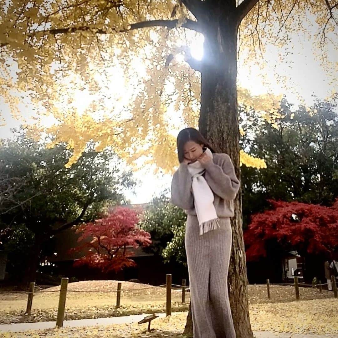 RURIKOさんのインスタグラム写真 - (RURIKOInstagram)「⁡紅の紅葉も素敵だけど、 黄金色のイチョウも素敵✨ ⁡ こちら後楽園✿ 日本三大庭園なのに、 近いと中々行かないもんですよね。 ⁡ もっと季節を探しに行かないと 勿体無いね♡♥♡ ⁡ 見上げるとイチョウのシャンデリア、 足元はイチョウの絨毯💛 ⁡ 色鮮やかで何だか可愛い葉っぱ。 手に持っていたイチョウの葉は、 車の中に飾ってます♡♥♡ ⁡ ⁡ 私は寒いのが苦手なので、 お気に入りのマフラーで、 首元を暖かくしていったよ❤︎ バイカラーで可愛いな😌༶༶༶ ⁡ ⁡ ⁡ ⁡ #イチョウ#銀杏#紅葉#後楽園 #日本三大庭園#お散歩#四季 #マフラー#バイカラー#シンプルコーデ #お気に入り#暖かく#ナチュラル #thankyou #natural #yoga#yogainstructor #love#happylife #selfie#beauty#healthy #japan#japanesebeauty#asian #elegan#RURIKO#岡山」12月2日 20時59分 - rurico37