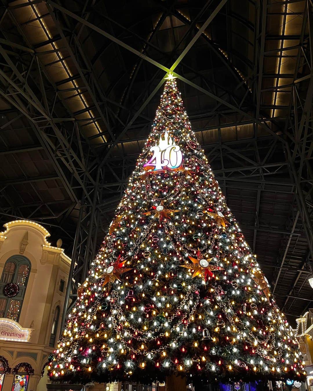 千秋さんのインスタグラム写真 - (千秋Instagram)「久しぶりのディズニーランド。 一足早いクリスマス🎄  日本未発売のアメリカ限定ミッキーのカチューシャ🇺🇸 動画はパレードでミッキーに手を振ったら、頭に気が付いてくれた瞬間💙嬉しい😆  最後のやつ 娘に「わたしの動き、怖いね」って言ったら「ママはいつもこんなんだよ」  📸娘 #disneyland」12月2日 21時00分 - chiaki77777