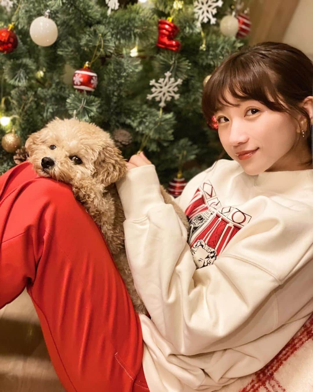 高田あゆみのインスタグラム：「12月になりましたねー🎄 何年か前に撮ったアイビーとの📸」