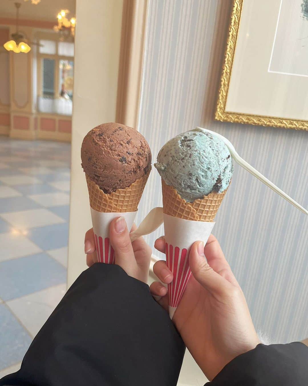 佐久間乃愛のインスタグラム：「︎✿  🍨  #TDL」