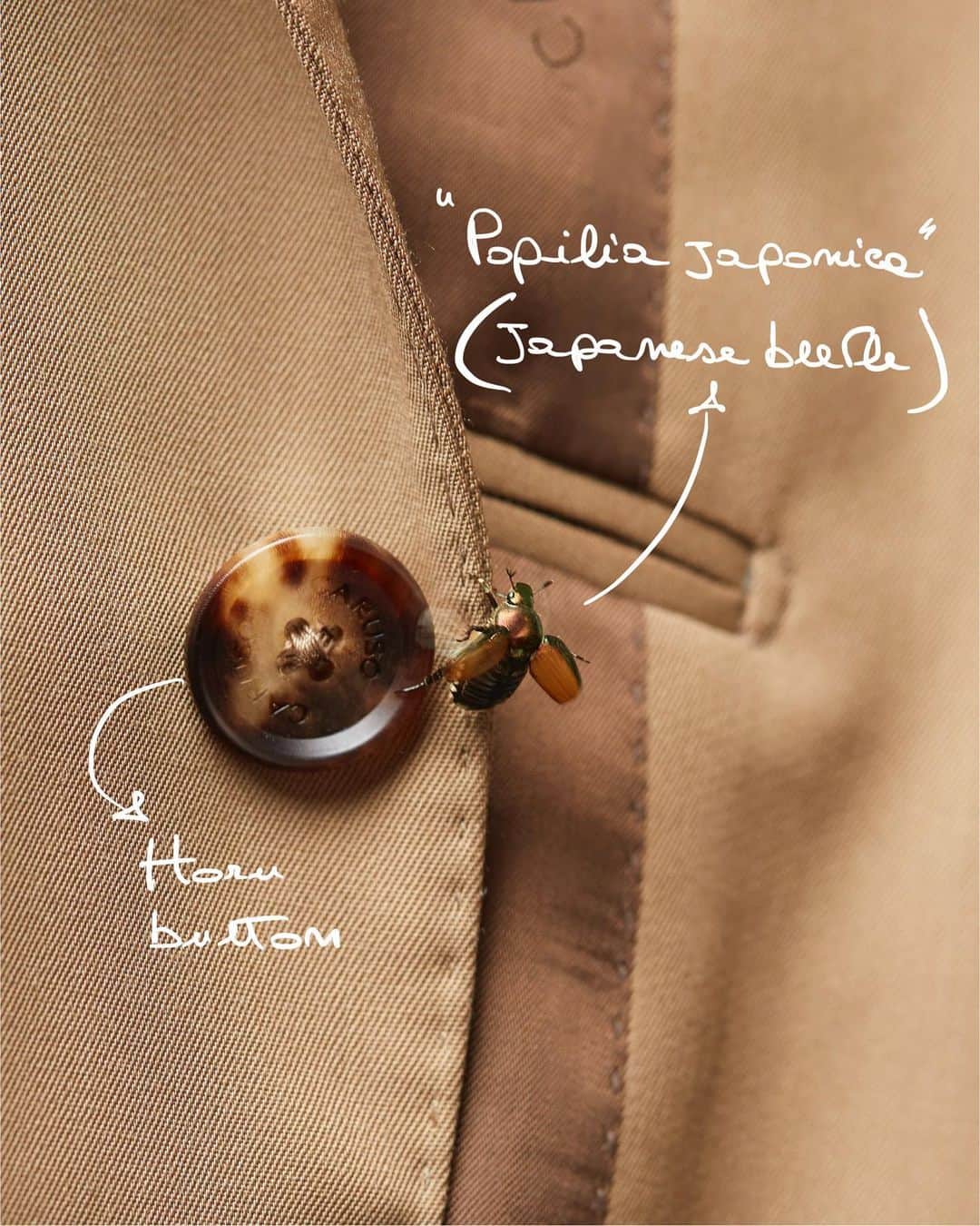 ラファエルカルーゾさんのインスタグラム写真 - (ラファエルカルーゾInstagram)「Caruso’ hidden details: Japanese beetle on Aida suit.  #carusomenswear #fw2324 #playfulelegance」12月2日 21時43分 - carusomenswear