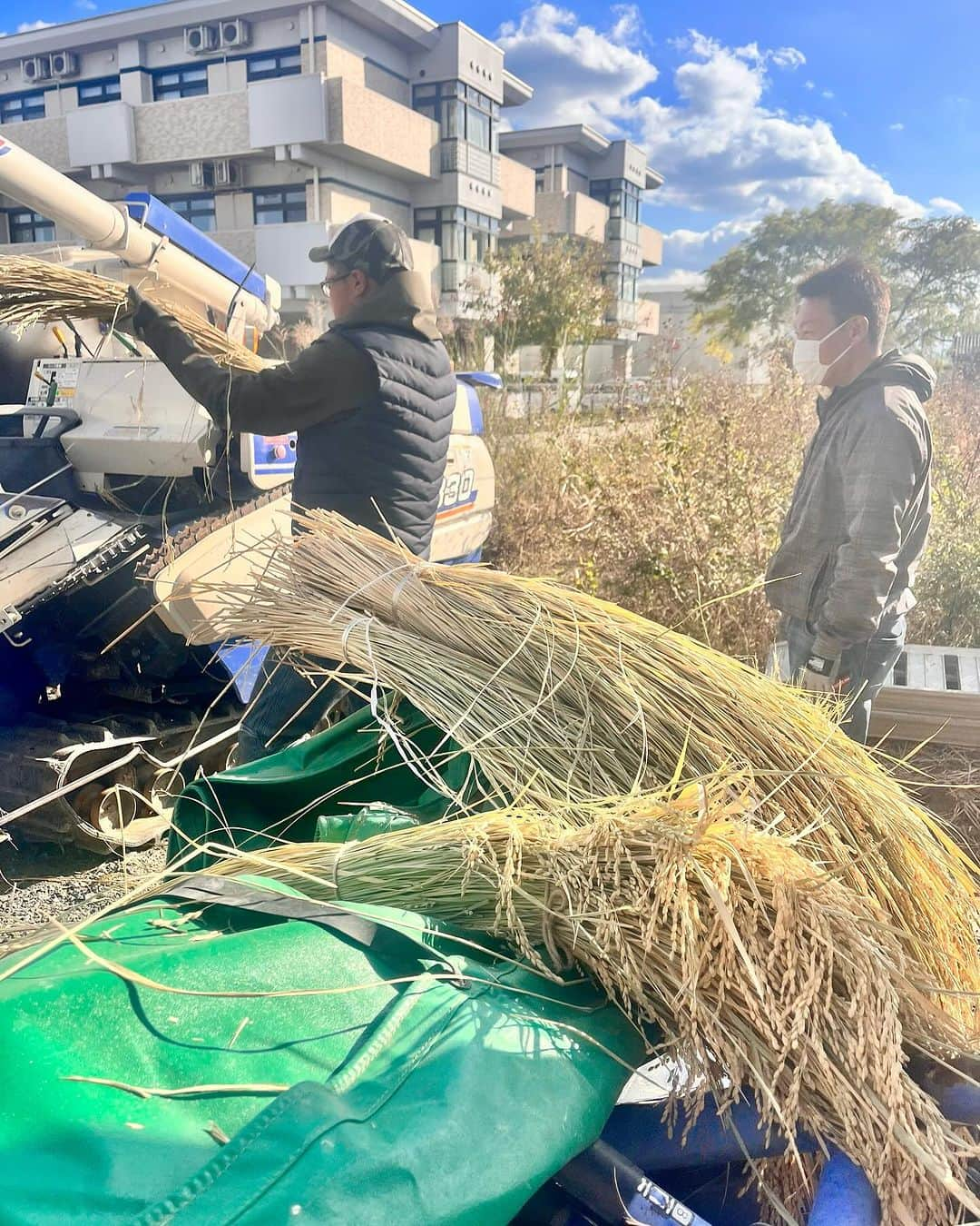 永倉由季さんのインスタグラム写真 - (永倉由季Instagram)「. . 【12/16(土)しめ縄づくり＆ワークショップ   一般募集開始🌾】     国産の稲わらを使って行う  『しめ縄づくり講座＆ワークショップ』     今年は 一般募集をさせて頂くことになりました🌾   (✅申し込みページはQRコードから もしくは、お問合せください)  ⁡ 　 　　　　　　　　　　　　　　　　 12月7日、15日は定員につき🈵終了ですが ⁡ 　　　　　　　　　　　　　　　　 ✅12月16日(土)15時〜16時30分 　　最寄駅 : 大阪京橋駅で開催します！ 　　　　 　　　　　 ________________________ ⁡ ⁡ しめ縄の歴史や神社について学んだ後は 　　　　　　　　　　　　　　　　　 一緒にしめ縄を作ってお家に飾り 縁起の良い歳神様をお迎えしましょう🎍✨ 　 ⁡ 　　　　　　　 一度自分で作ると 外国産の水草のしめ縄は買えない…と言って 毎年参加してくださいます♡ (子どもも参加OK) 　　　　　 ________________________ ⁡   今日も朝から 大詰めの作業でした。     農家の西田さんが パソコン作業ができるようにと ⁡   ジャガイモ？を入れるケースで イスとテーブルを準備してくださる。 お陰ではかどりました✨  . . 『しめ縄づくり2023』 12月16日(土)15時〜16時30分 ⁡ 場所:京橋駅　 ⁡ 大阪市都島区片町２丁目１０−５  ユービック情報専門学校  ⁡ ⁡ ⁡ https://rekisindo2023.peatix.com/  #しめ縄ワークショップ  #しめ縄づくり #てつじの酒 #シャンプーハットてつじ さんの田んぼ #稲わらアート  #お正月飾り  #歴神道 #神社好きな人と繋がりたい  ⁡ . ⁡ ▶︎アメブロ更新　↓プロフリンクから　　　　　　　　　　　　　　　@yuki_nagakura67 ⁡ ✼••┈┈┈┈┈┈┈┈┈┈┈┈┈┈┈┈••✼  　　　　　 ▶︎アナウンサー・プライベート用Instagram @yuki_nagakura67 ⁡ ▶︎ブランディング用/魅せ方・伝え方・オススメ @yuki_nagakura_brushup_salon ⁡ ✼••┈┈┈┈┈┈┈┈┈┈┈┈┈┈┈┈••✼ ⁡ ⁡ #永倉由季 #フリーアナウンサー #司会者 #顔タイプ診断 #顔タイプアドバイザー #アナウンサー ___________________________」12月2日 21時53分 - yuki_nagakura67