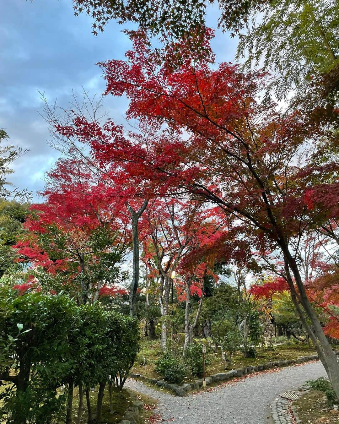 加藤るみさんのインスタグラム写真 - (加藤るみInstagram)「【犬山】  法事の帰りに犬山へ寄る。  SKEの頃は岐阜から名古屋まで通っていたので🦾 名古屋から犬山で乗り換えなくちゃいけないのに、 寝過ごしてよく鵜沼で起こされていた思い出🚃  思い出の名鉄電車🚃 名鉄の車窓から見える景色には、私の青春がある😌✨  名鉄ラブ🫶ミュースカイラブ🫶笑  宿泊は、ホテルインディゴ犬山有楽苑へ。  日本庭園・有楽苑や、国宝犬山城、木曽川、 どこを撮ってもviewが最高のホテルでした🍁  犬山は城下町を歩くのもとっても楽しいですね🐕  #犬山  #犬山観光  #犬山城  #犬山城下町  #ホテルインディゴ犬山有楽苑 #名鉄電車  #名鉄」12月2日 22時23分 - rumicinema