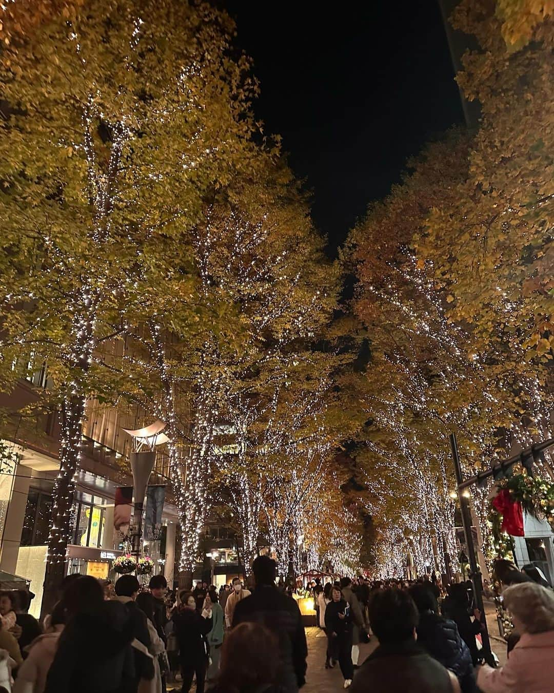 浅井裕華さんのインスタグラム写真 - (浅井裕華Instagram)「🎄✨#イルミネーション #東京駅」12月2日 22時35分 - yuka1110_