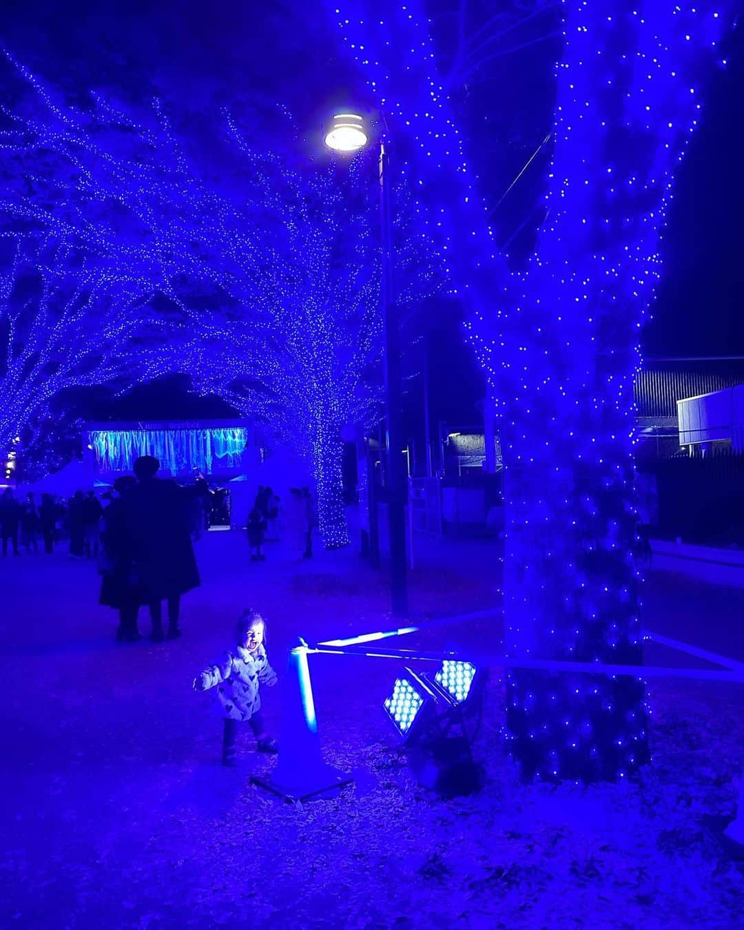 尾崎紗代子さんのインスタグラム写真 - (尾崎紗代子Instagram)「. 代々木公園の青の洞窟行ってきた☺️ 思ったより屋台並ばなかったし 食べ物も飲み物も美味しいし 雰囲気最高だし、子供達が可愛くて幸せでした🍀  最近は色んなイベントが復活して お出かけ楽しいなあ☺️  #momlife #mommylife #mommy  #育児 #ママライフ  #7歳 #5歳 #２歳 #motherof3 #motherhood  #family #familyphoto  #3人育児  #3児のママ #3児ママ  #familytime  #5人家族 #familyphotograhy #familyfirst」12月2日 22時28分 - osayo_osayo