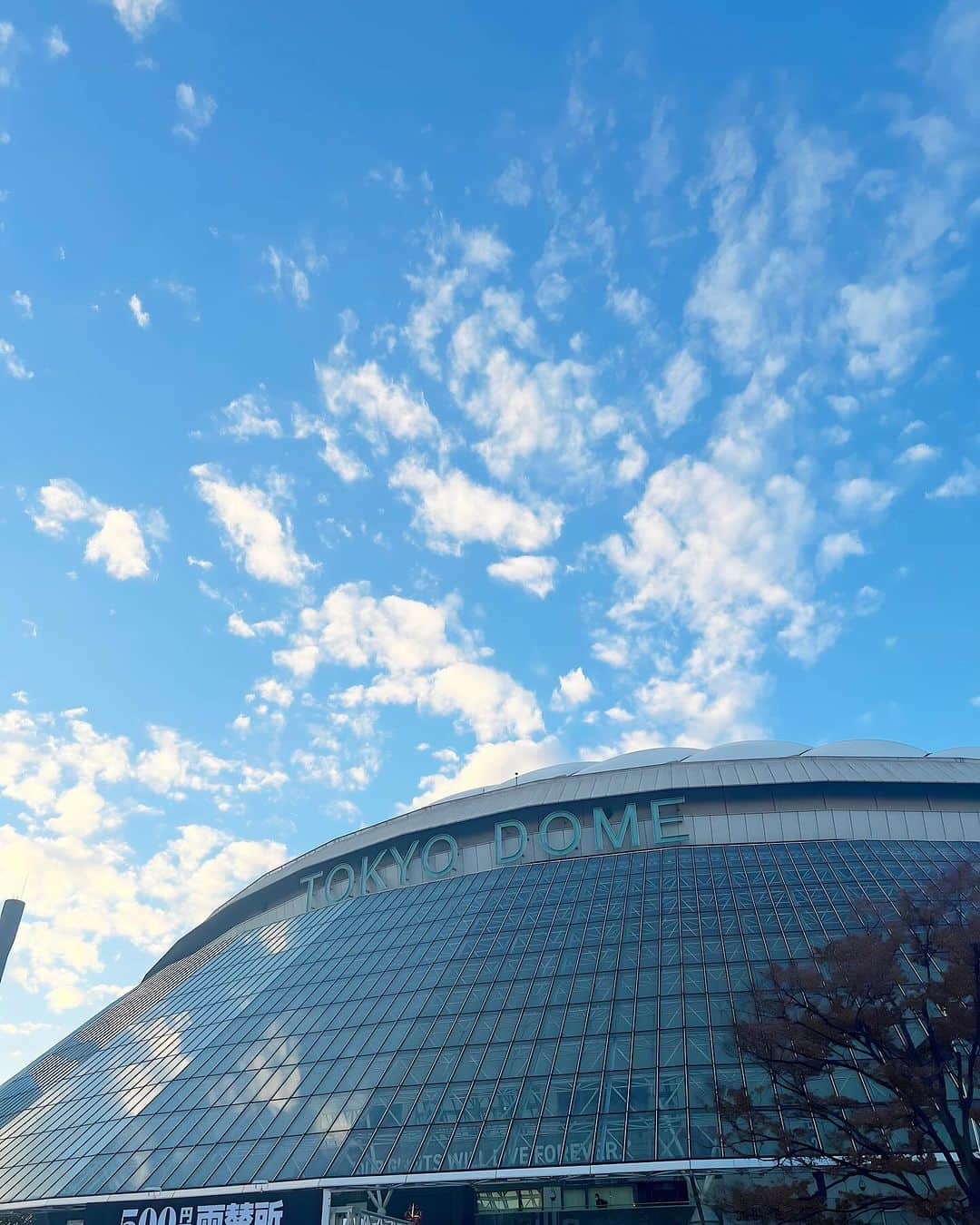 さゆりさんのインスタグラム写真 - (さゆりInstagram)「\はじめての推し活🗣️🌈/  三代目JSB東京ドーム初日🗼  ずっと推しごとしてみたくて、 推しを探してたところ、  従業員の綾乃ちゃんが 三代目推しという事で、  見事に私もどハマりして、 たっくさん予習して 推し活してきた✊❣️  もう今日この日を楽しみに 生きていたといっても 過言ではない😹🌈  ジャニーズもケーポも 色んなアーティストのライブ 見たことあるけど、 だんっっっっっっとつで 3代目の LIVE楽しすぎた😭🎤  まじで、ファンじゃない人も 騙されたと思って みに行って欲しいれべる😭👍  踊って叫んで手振って、 自分がライブしたのかなって くらい疲れました🤣笑  ものすごく疲れていたにも関わらず、 それを一瞬で吹き飛ばしてくれる エンタメ業界のひとには 本当にあたまが上がらない😣🔥  これからも推し続ける🤝 フォロワーさんに三代目推し いないかなー?🫣♥︎♥︎♥︎  #jsbland  #jsb #三代目 #三代目jsb  #三代目ライブ  #三代目jsoulbrothers  #三代目jsoulbrothersfromexiletribe  #ライブコーデ　#ライブ #東京ドーム#推し活 #推しのいる生活  #推し事」12月2日 22時29分 - sayuri__offi