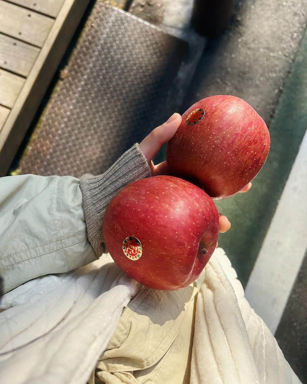 安藤百花さんのインスタグラム写真 - (安藤百花Instagram)「蒸し返すような暑さが続いていたのに もう思い出せないくらい毎日寒くてびっくりする。 夏はとにかく避けていた日差しもこの頃は少しだけ嬉しい。 ポケットには冬眠を始めたひつじ🐑  そしてお福分けしてもらった林檎がとても美味しかった… 果物をたくさん食べる冬にしたい。」12月2日 22時37分 - momoka_031