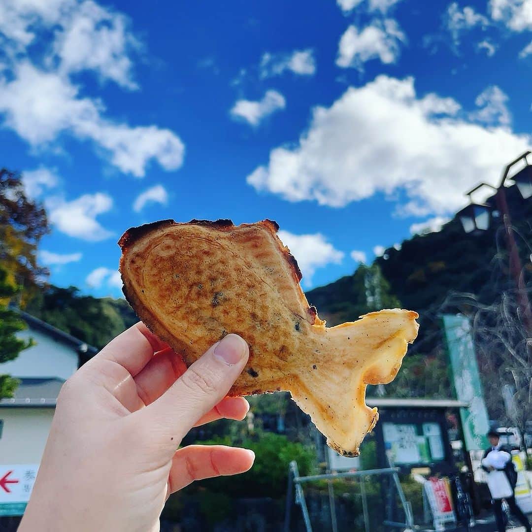 白木夏子のインスタグラム：「岐阜の善光寺/伊奈波神社前に美味しい鯛焼きがあるということで両親に連れられて行ってきた。一尾ずつ焼くのを天然もの、っていうらしい（複数一気に焼くのは養殖と言うらしい）。ここは丁寧に一尾ずつ焼いてくださる天然もの！ 岐阜って交通の便が悪すぎる場所にこういう素敵な場所や美味しいものがいっぱいあって面白い🚗 紅葉🍁も綺麗だった。鯛焼きに夢中で写真ないけど…」