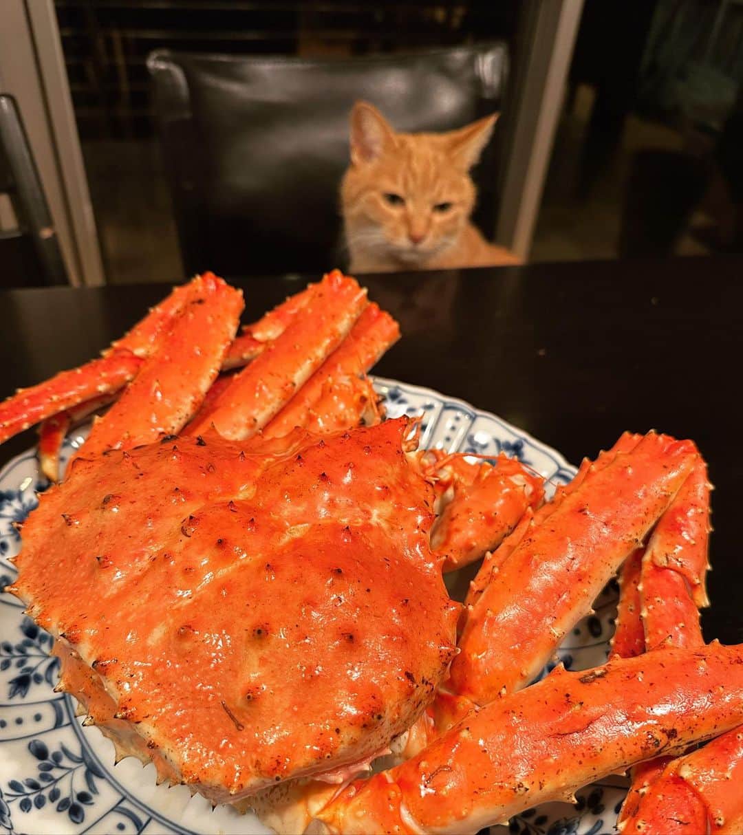 二ノ宮知子のインスタグラム：「カニをいただきました🦀！！ 北海道直送のタラバに毛蟹。大変美味しゅうございました。」