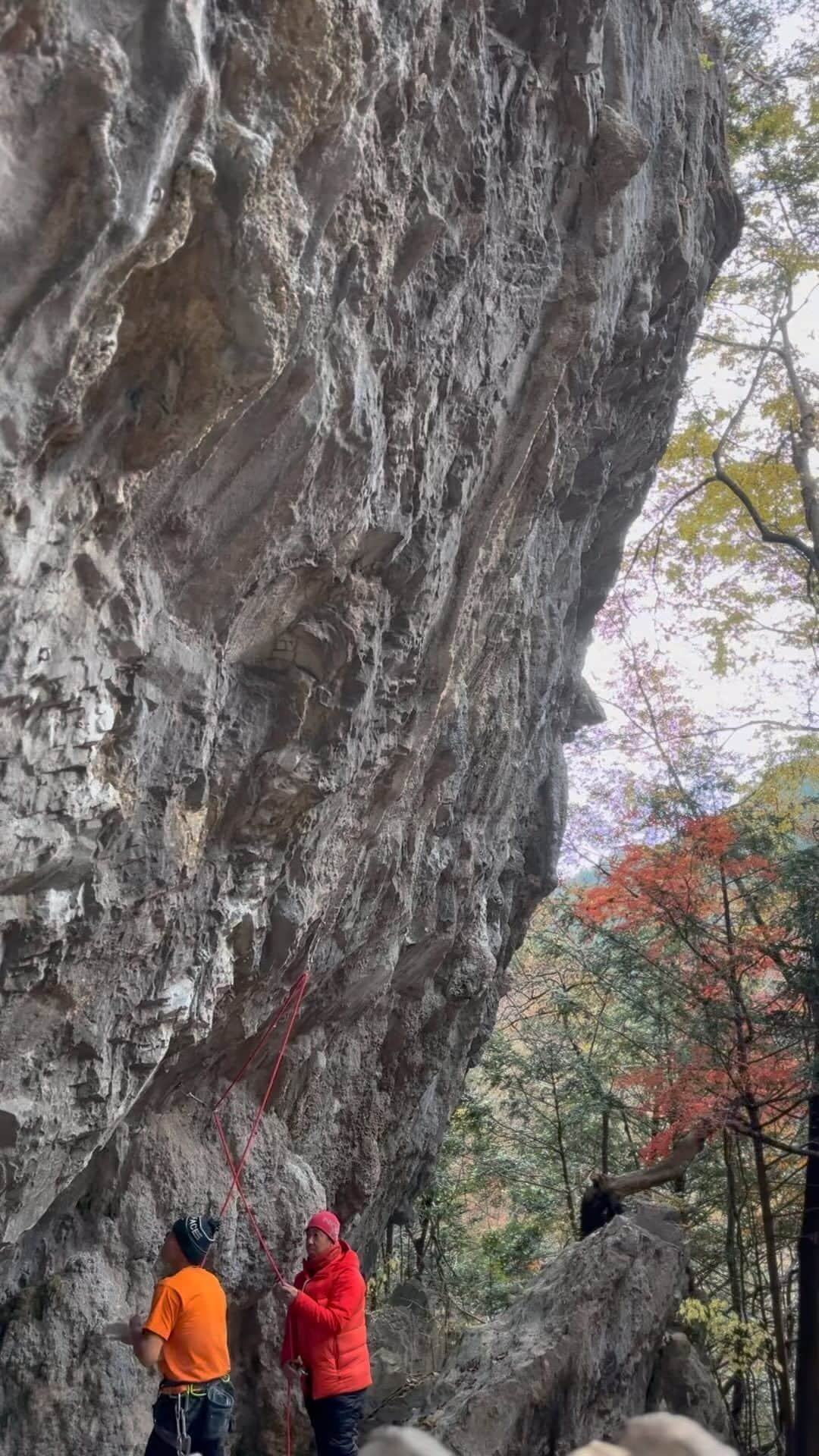 平山ユージのインスタグラム：「Daija 7c+ I send this route January 1988. 35years ago ✨✨ I repeat again it’s 5 star route. You should come and try 👍👍🎶🎶🍻🍻  ダイジャ 7c+ このルートは1988年1月、35年前に初登した✨✨ 今日はもう一度リピート、5つ星のルートです‼️‼️ ぜひ行ってみてください👍👍🎶🎶🍻🍻  #neverstopexploring #tnfathletes #tnfjp #ザノースフェイス #yamanashi #daydream #bouldering #スポーツクライミング #1988 #7c+  #35年振り #完登　#after35years #gozeniwa #御前岩  @basecamp_onlineshop  @basecamp_import  @basecamp_mgmt  @thenorthfacejp  @beal.official  @carbongrip  @climbskinspain  @basecamp_shinbashi  @basecamp_tedogawabashi  @basecamp_kinshicho @basecamp_shinjuku  @basecamp_higashimurayama  @basecamp_hanno  @basecamp_iruma」