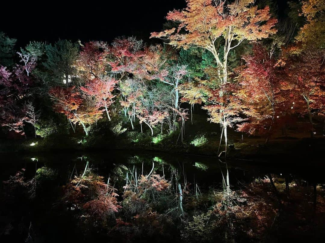 小俣里奈のインスタグラム：「こんばんはっ！  先日、大阪・京都に弾丸旅行行ってきました🍁 写真は京都の高台寺 怖いくらい綺麗で異世界かと思って 本当にすばらしすぎたー！！！！  旅行写真、ちょこちょこ写真あげていきます！  #japan #kyoto #temple #kodaitemple  #photography #photo #京都　#高台寺　#高台寺ライトアップ #紅葉　#夜景　#豊臣秀吉　#ねね」