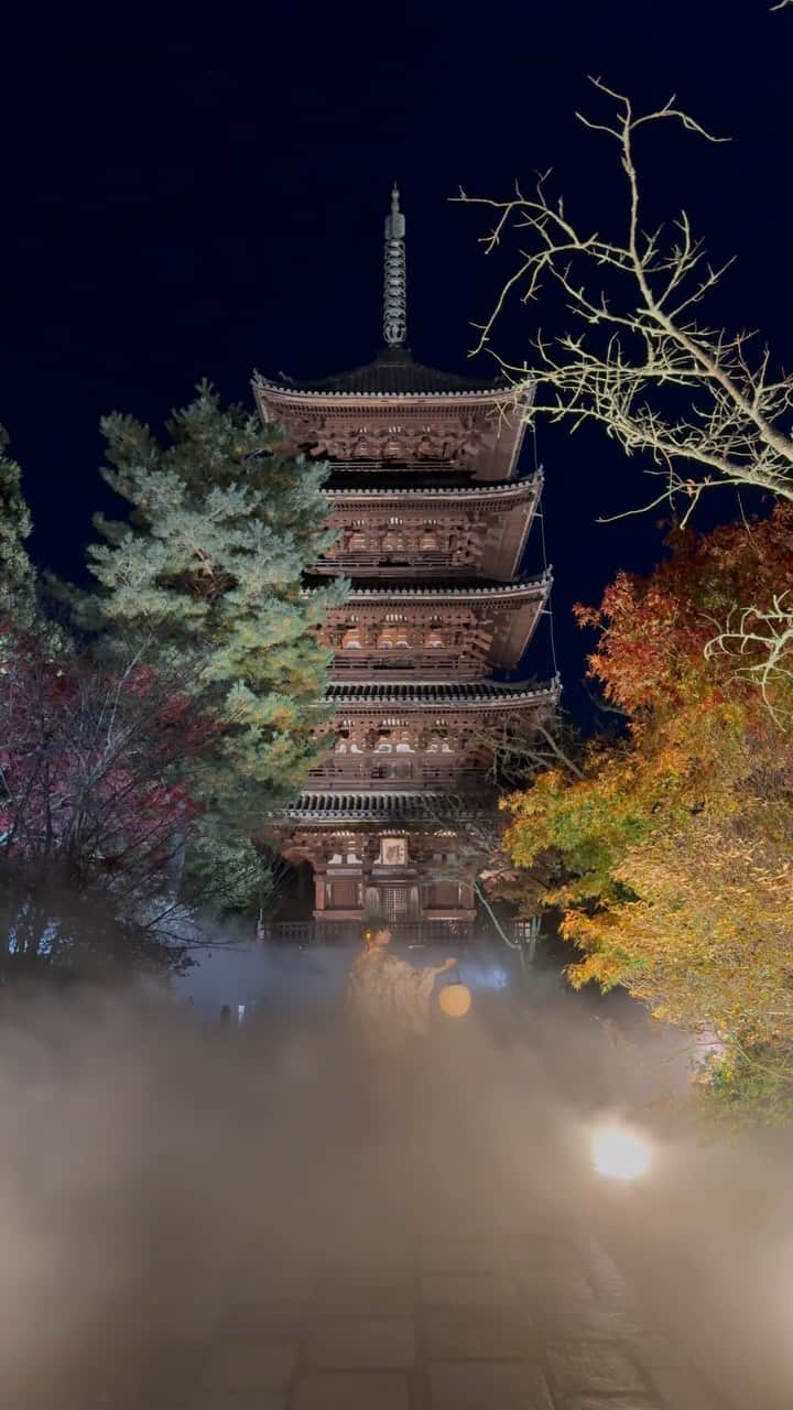 shabonのインスタグラム：「* . . . . . 仁和寺 @ninnajitemple × 東京カメラ部 @tokyocameraclub  雲海ライトアップ幻想的で綺麗でした🥹✨ . 明日12/3(日)までです！！ ぜひ行ってみて下さい🥰🫶 . ※ この提灯は レンタル（有料）出来ます🏮 . model : @rk19_photo . . . . . . *」