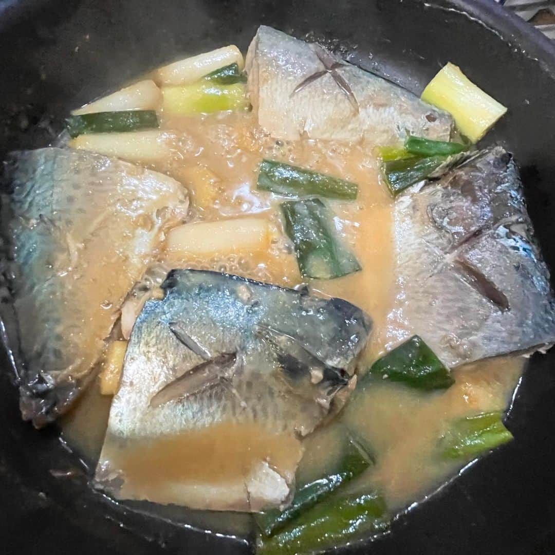 みかんのインスタグラム：「近頃のご飯🍚  器に盛るのも綺麗やけど 意外と作りたての 鍋やボールが一番美味しいそうに 見える事に気がついた🤤  みんな真似てみて🫶  #鍋が一番盛れる #こーみえて料理は好き #オカンのおかげ」