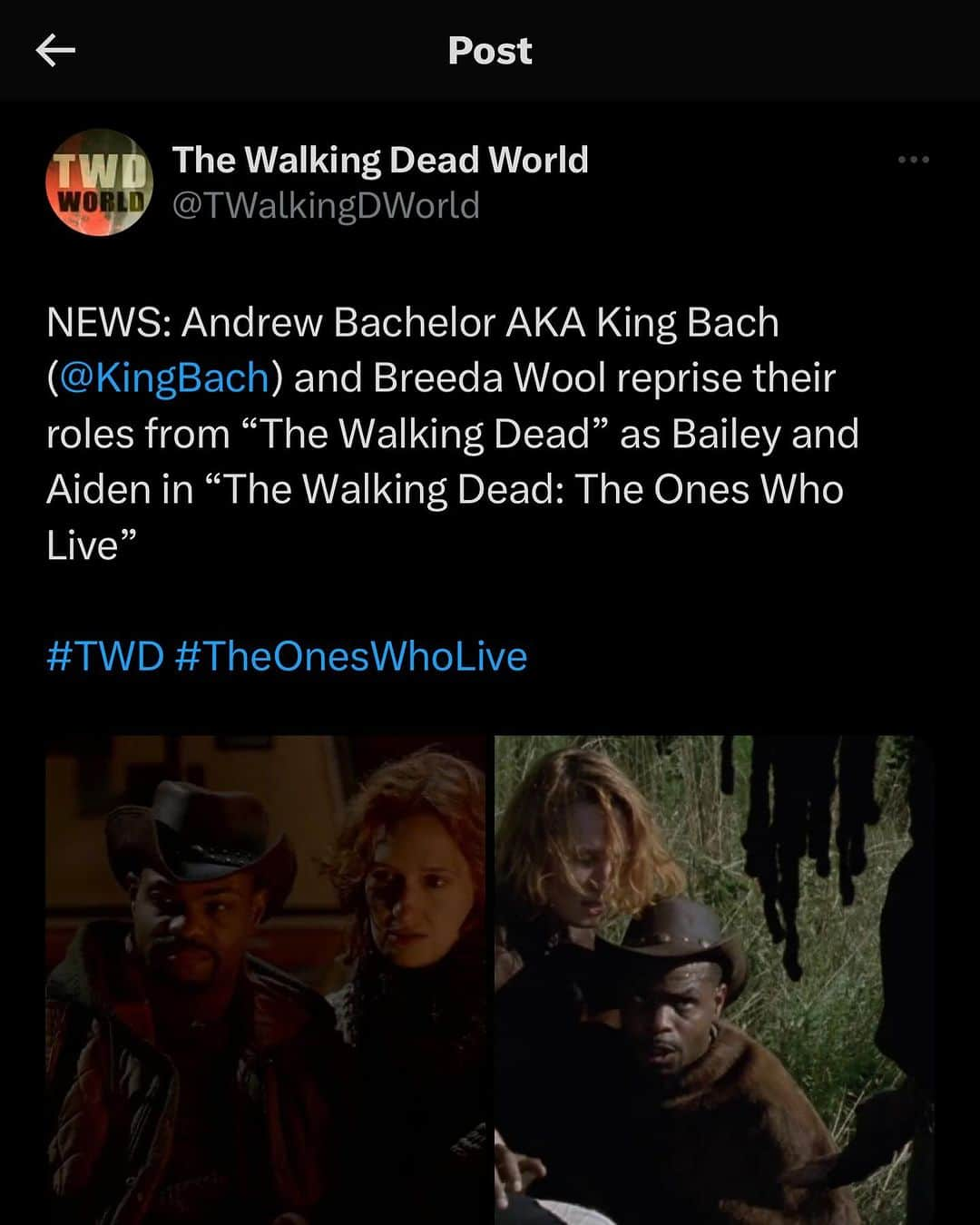 King Bachのインスタグラム：「@thewalkingdead ❤️❤️❤️」