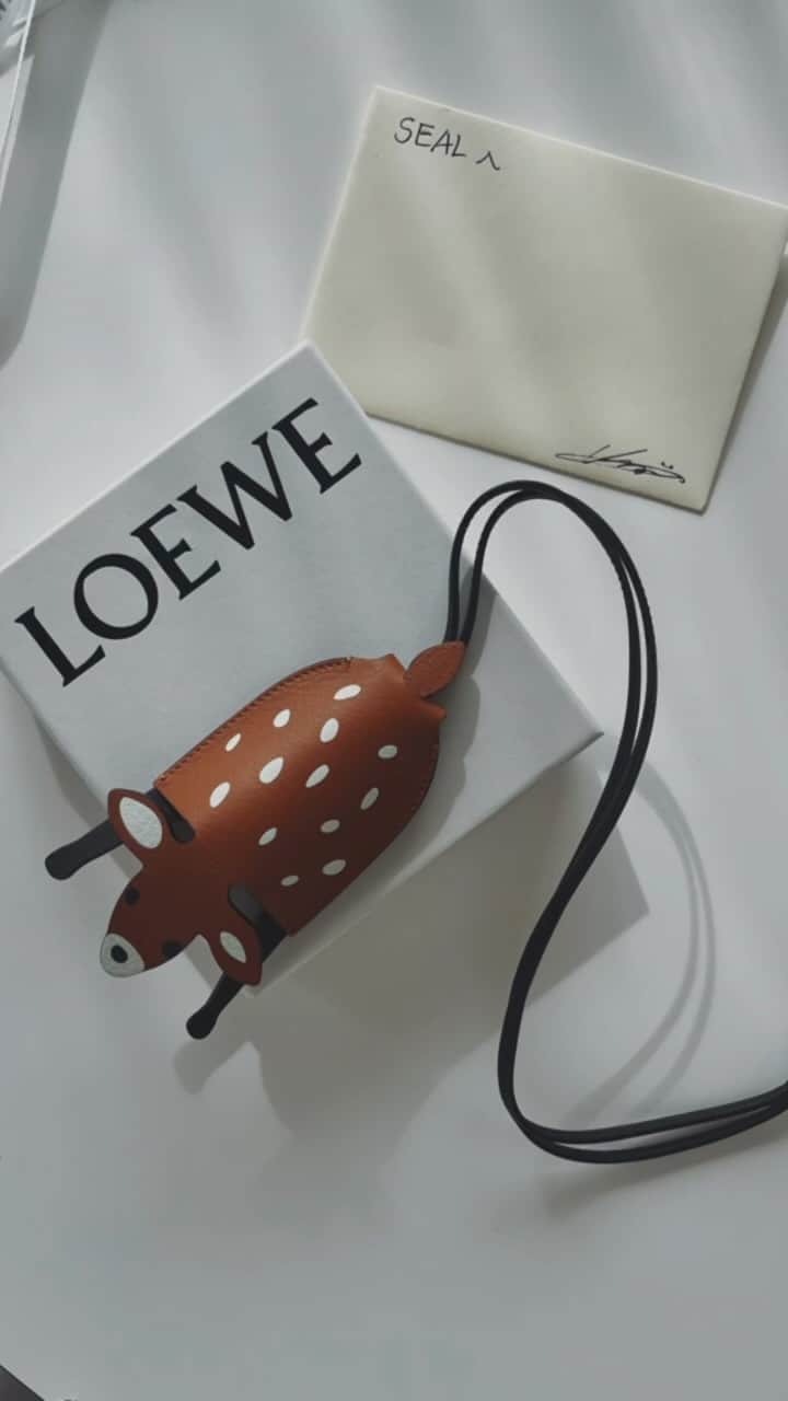 金セアルのインスタグラム：「🦌❤️ LOEWE x Suna Fujita #loewesunafujita #loewe」